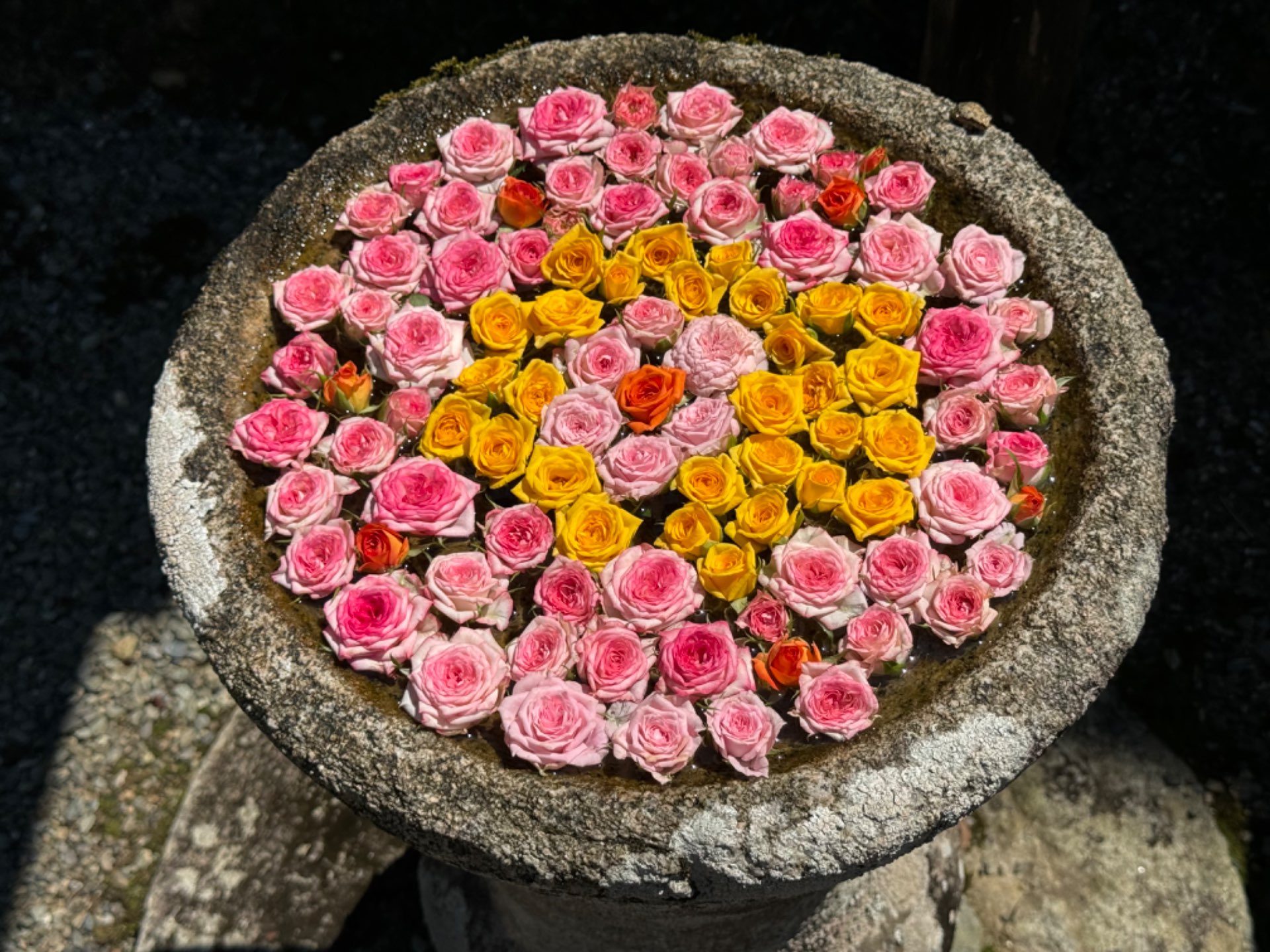 astiさんのプロフィール画像