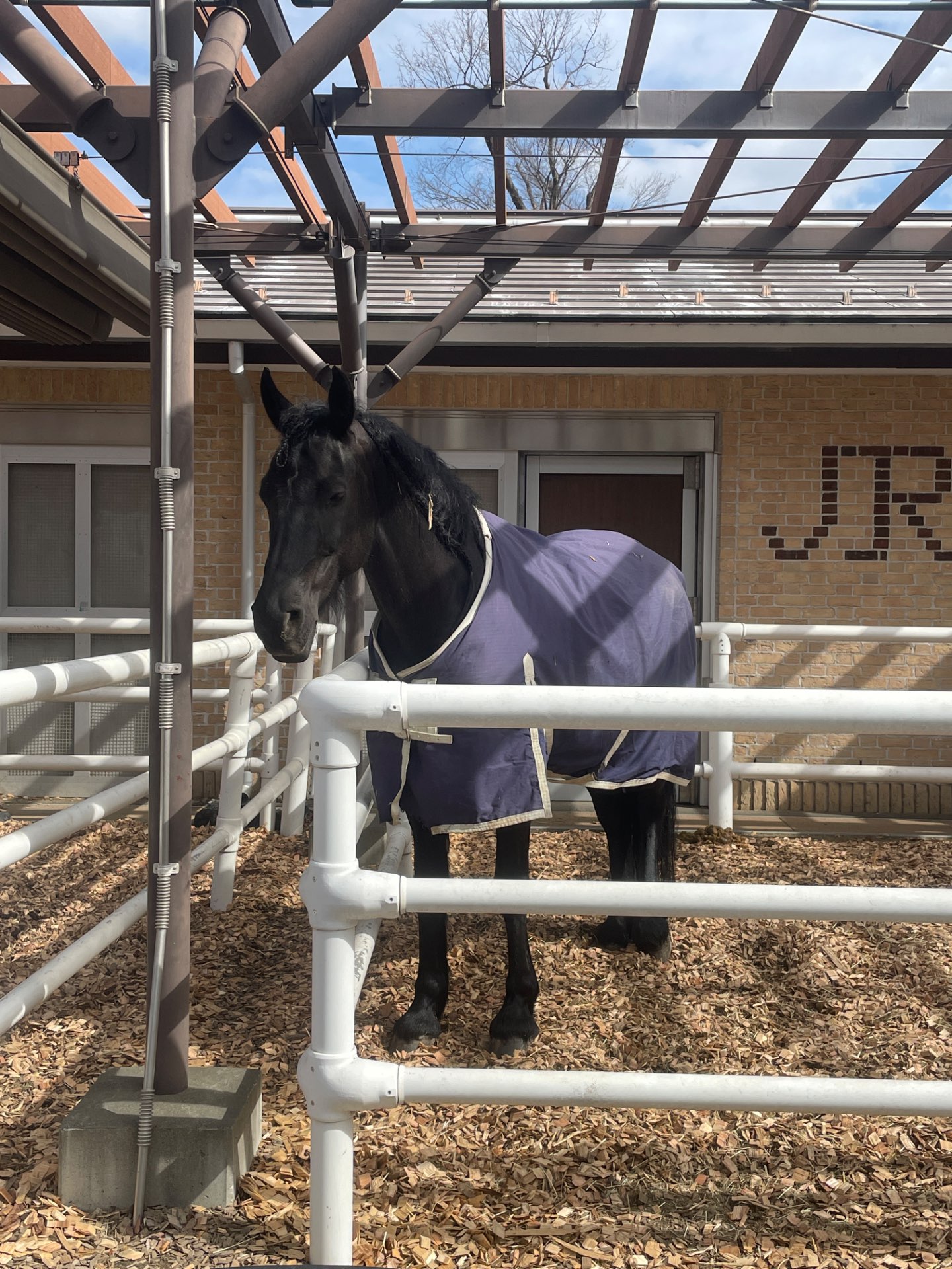 サワダショウタロウさんのプロフィール画像
