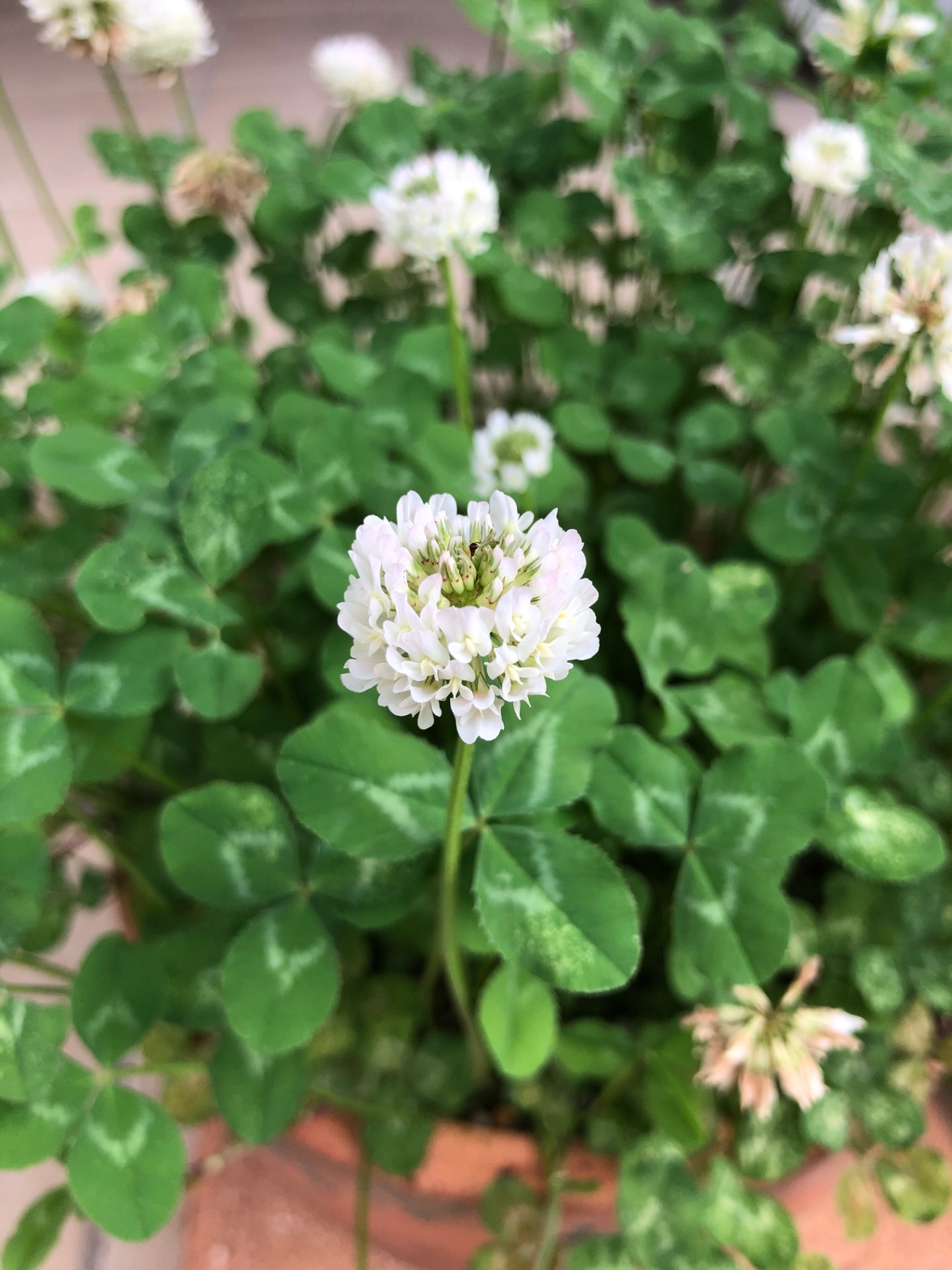 やちさんのプロフィール画像