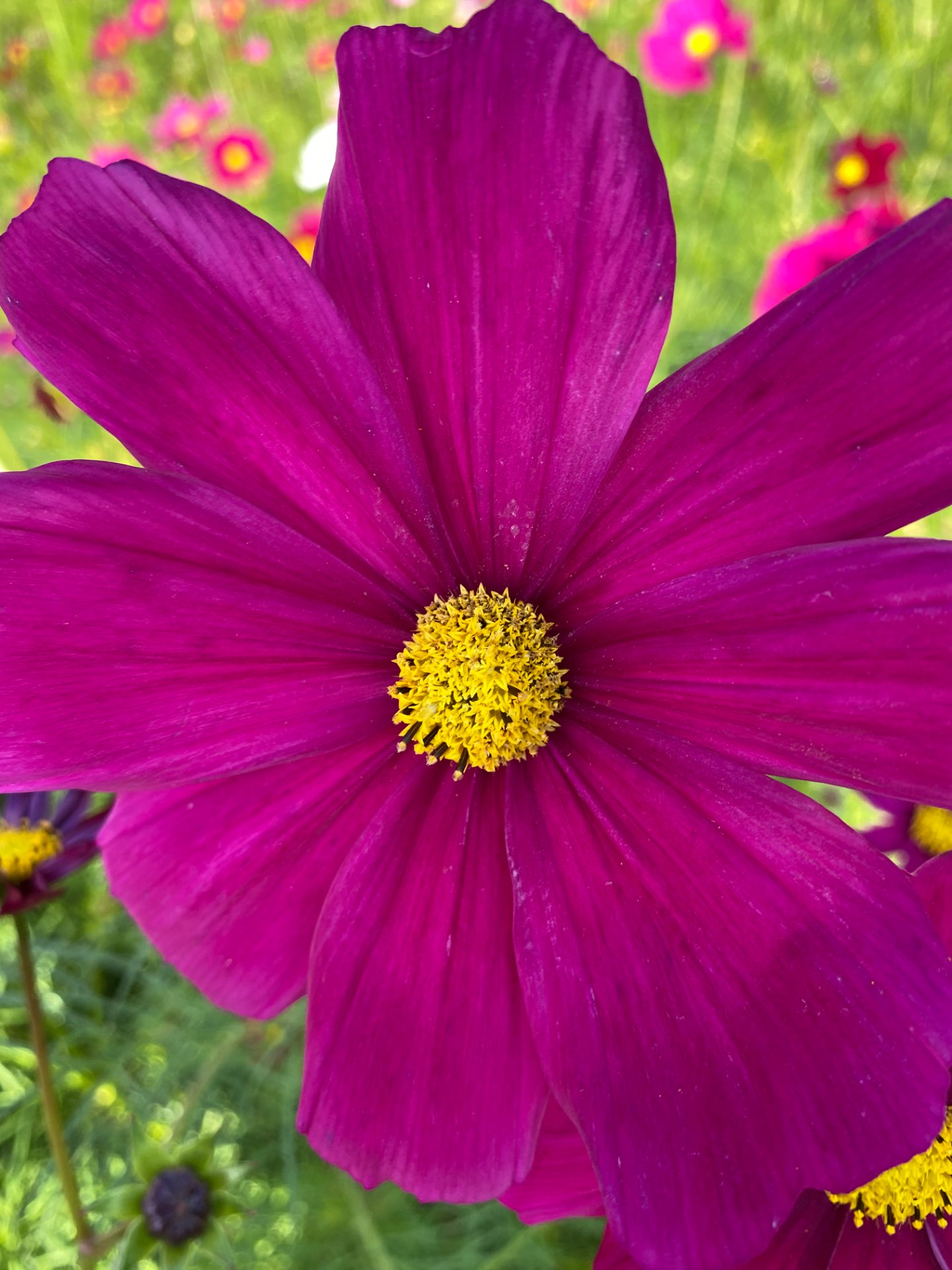 tokoさんのプロフィール画像