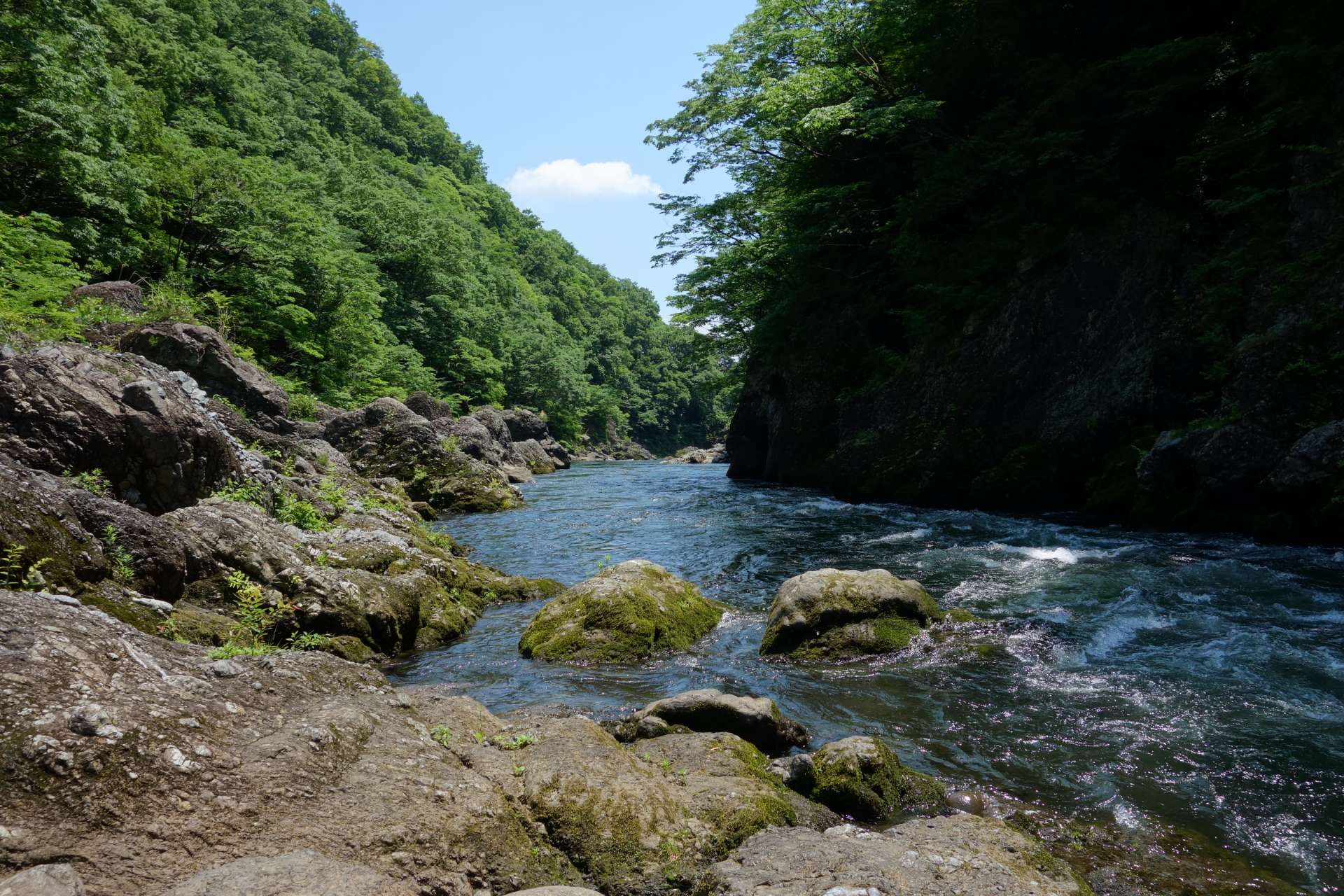 azumakuniさんのプロフィール画像