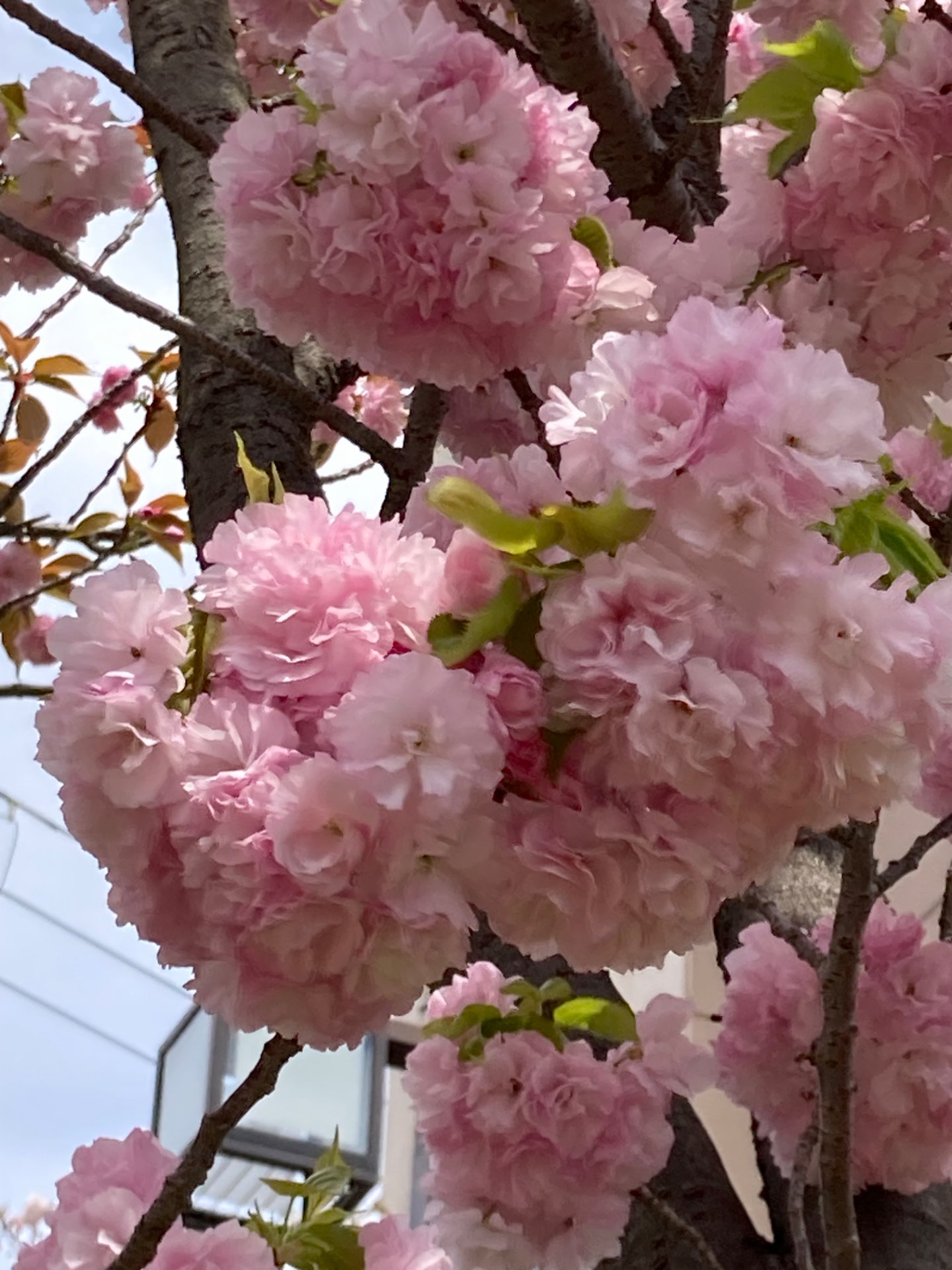 けいさんさんのプロフィール画像