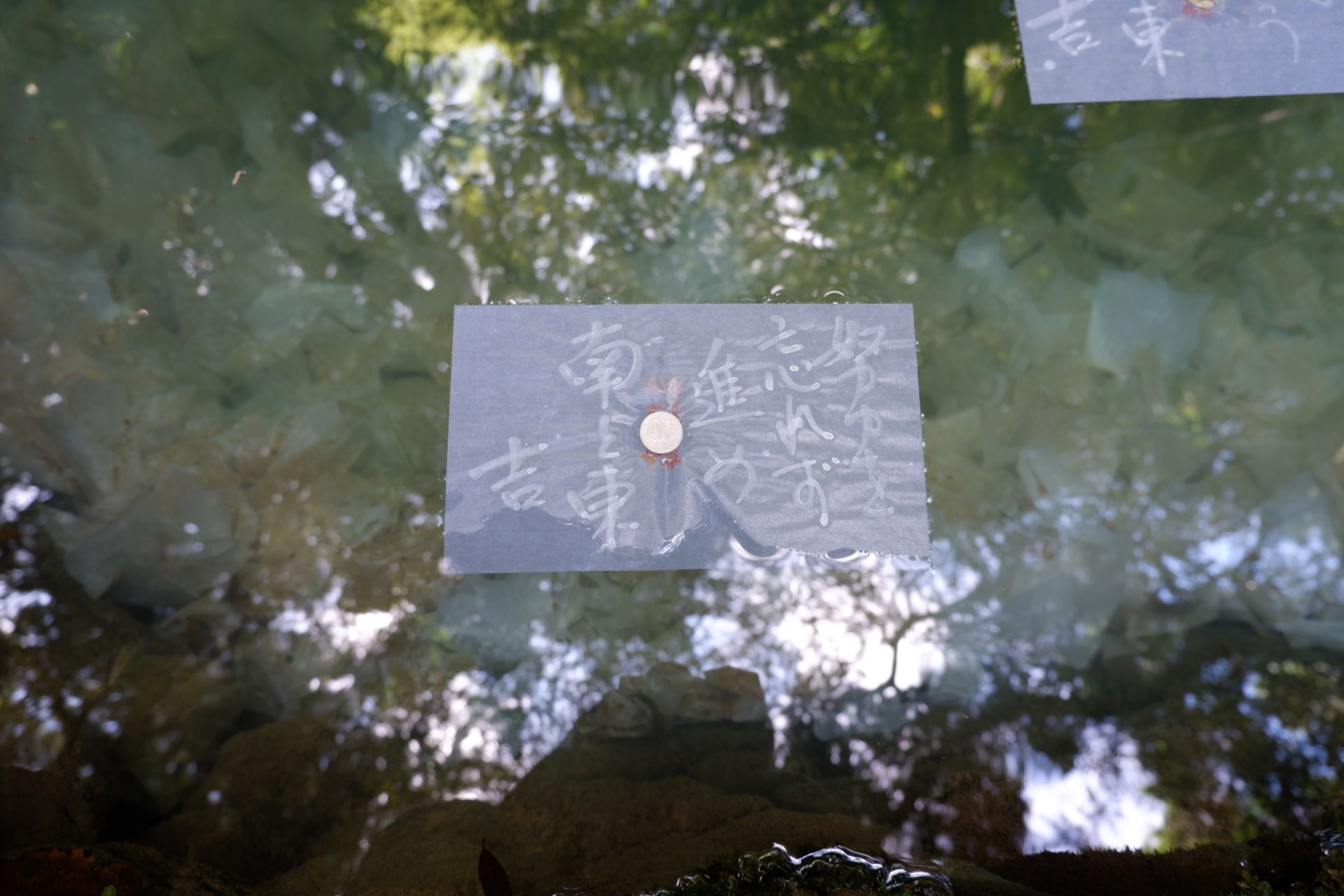 とんきちさんのプロフィール画像