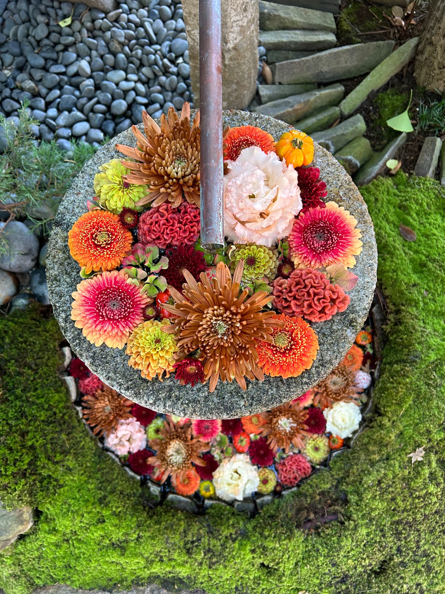 tsukamichiさんのプロフィール画像