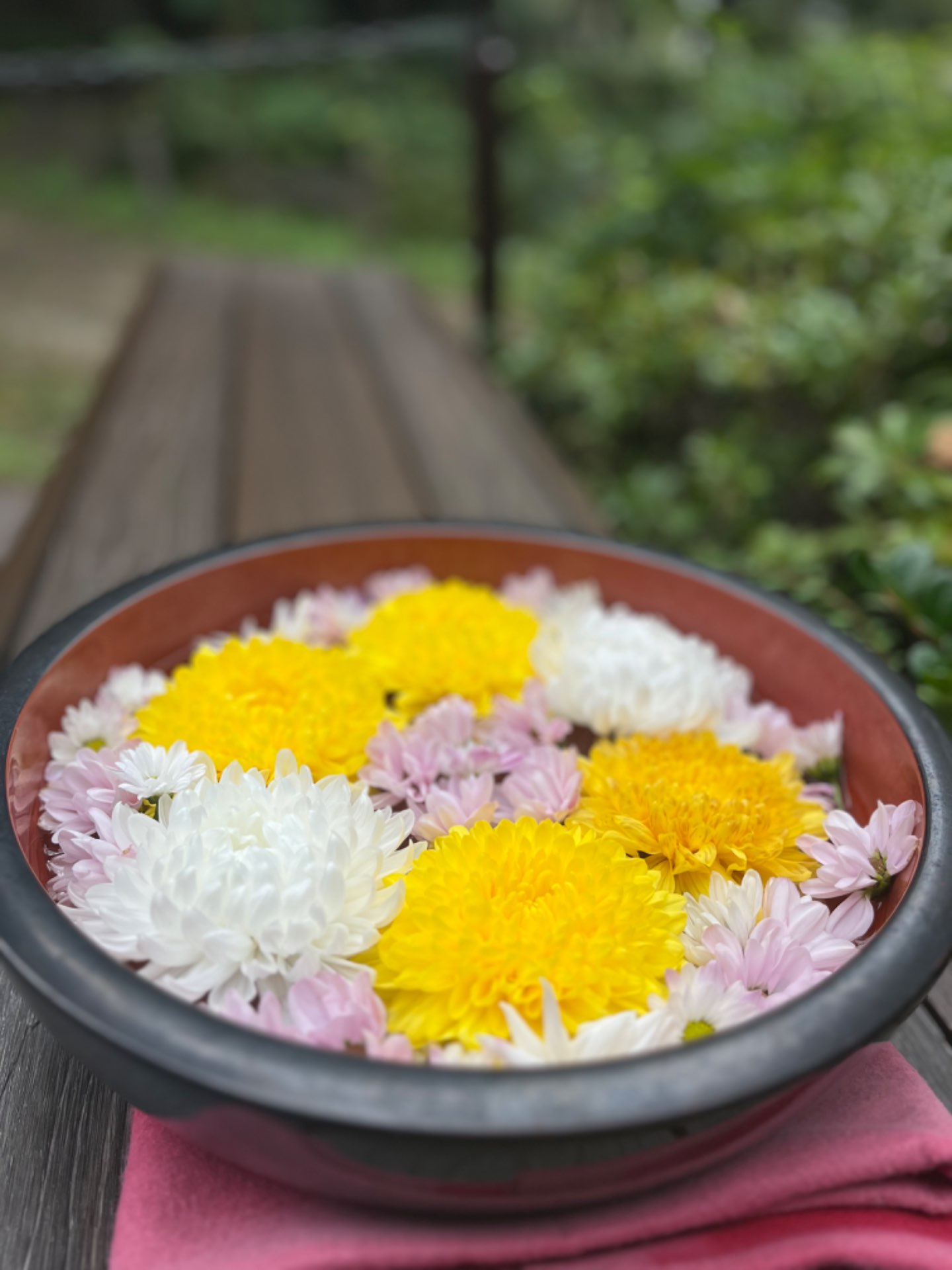 ヨシさんのプロフィール画像