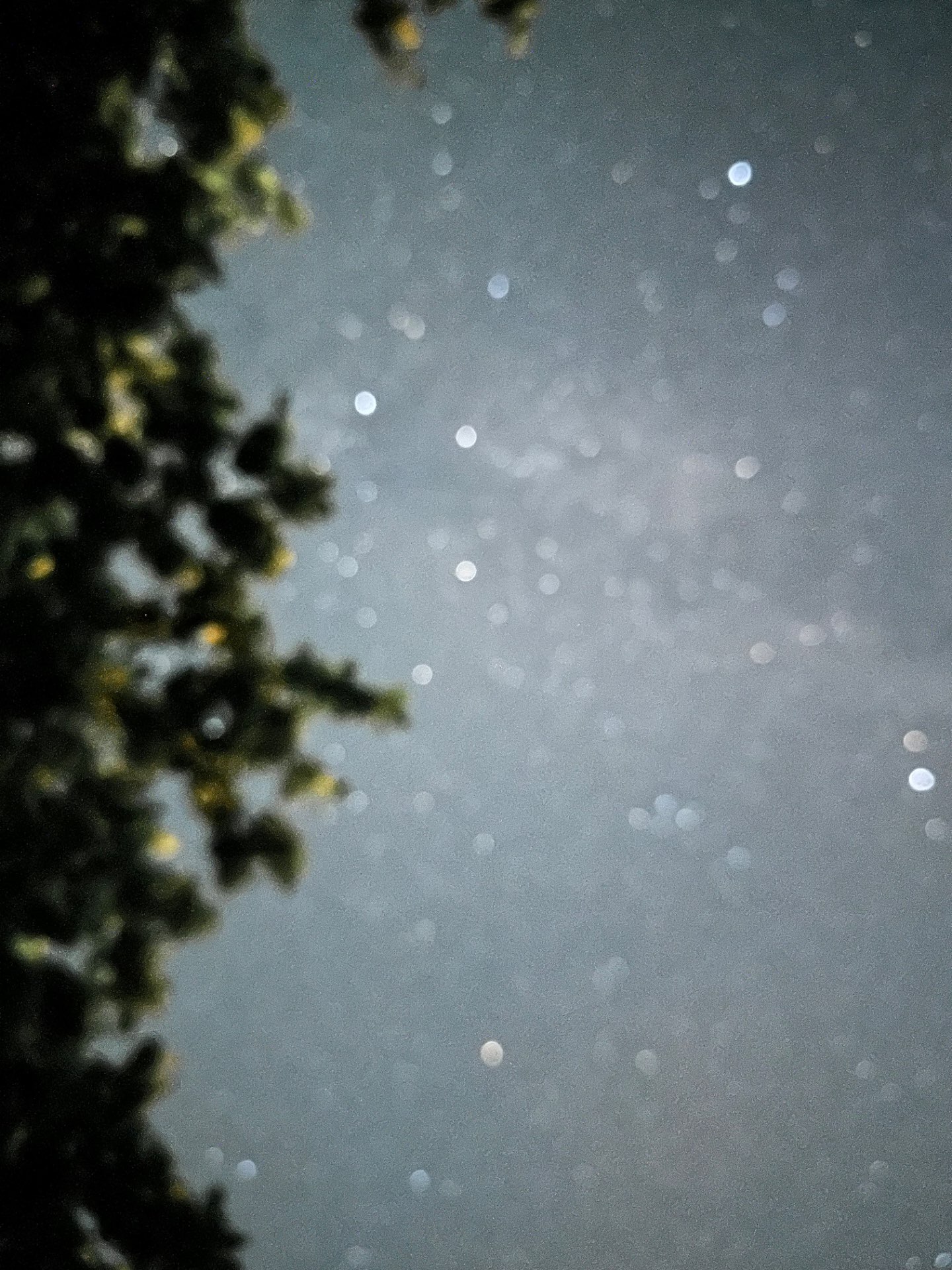 蟹江さんのプロフィール画像