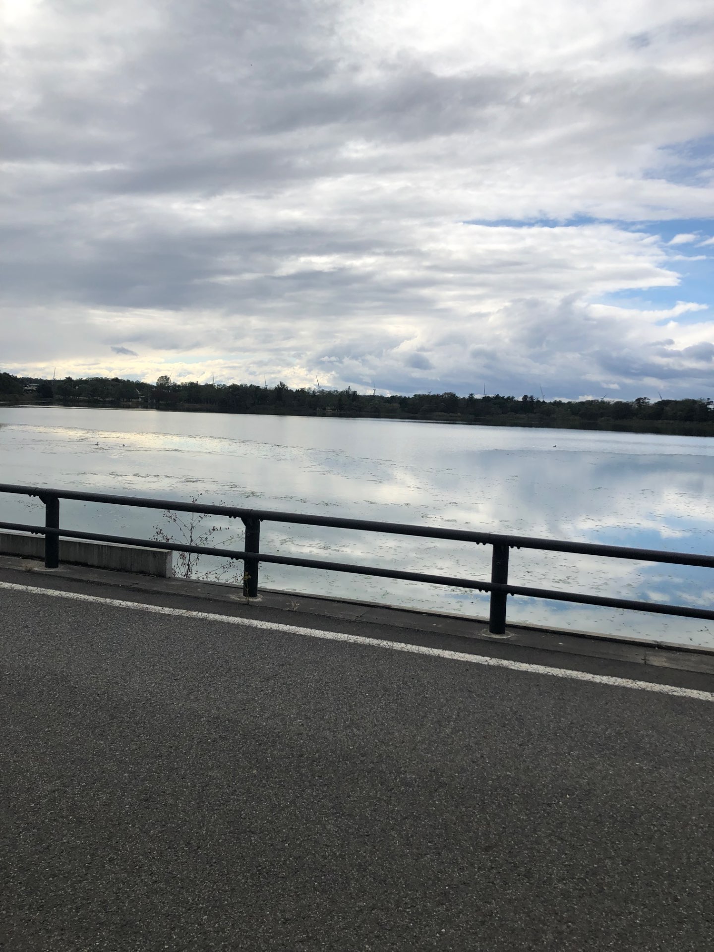 ぶた別府さんのプロフィール画像