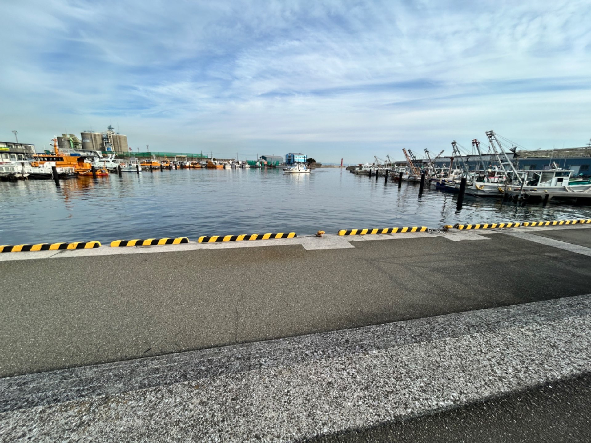 むとさんのプロフィール画像