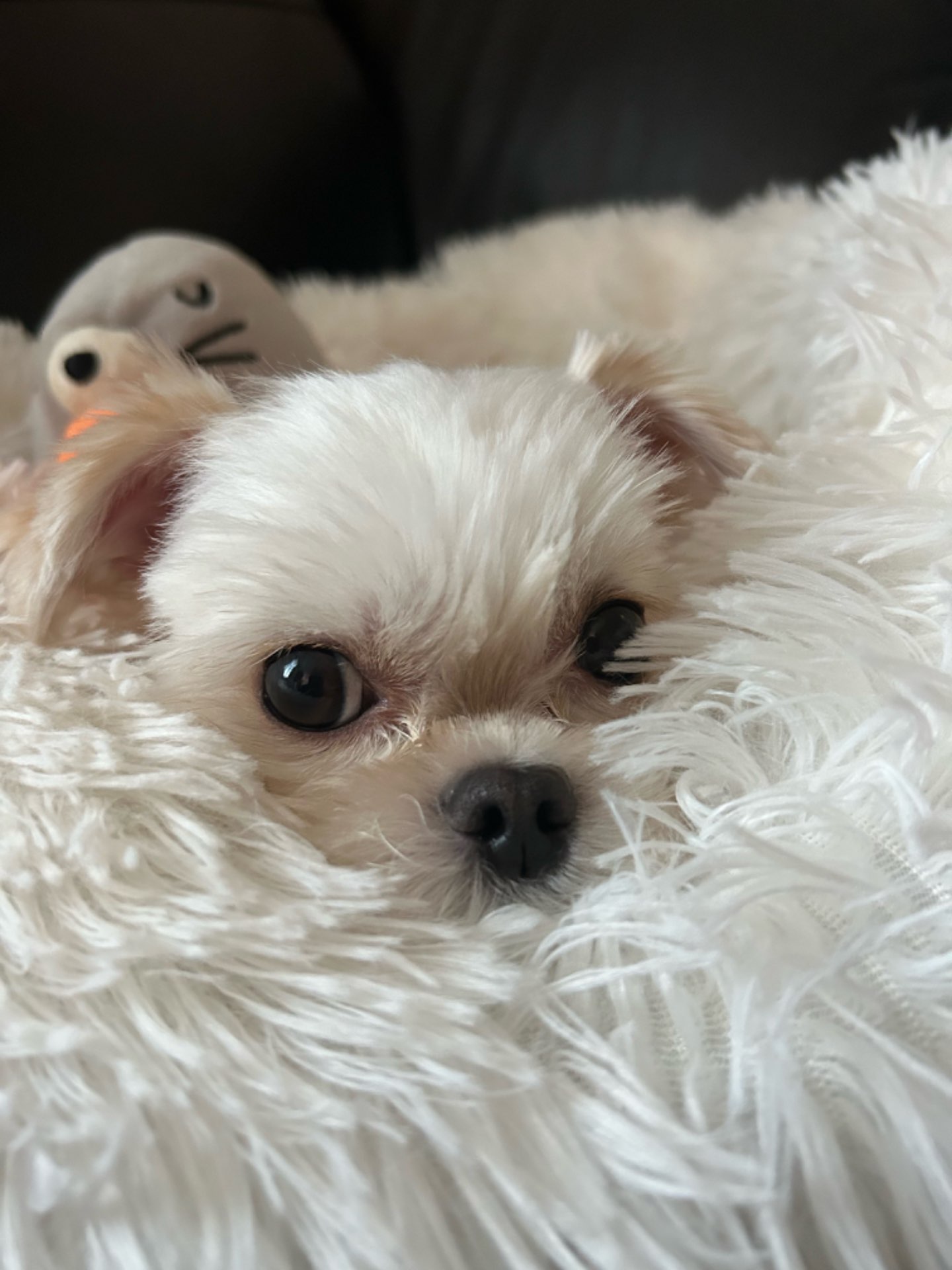 たくちゃんさんのプロフィール画像