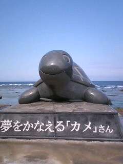 teruteruさんのプロフィール画像