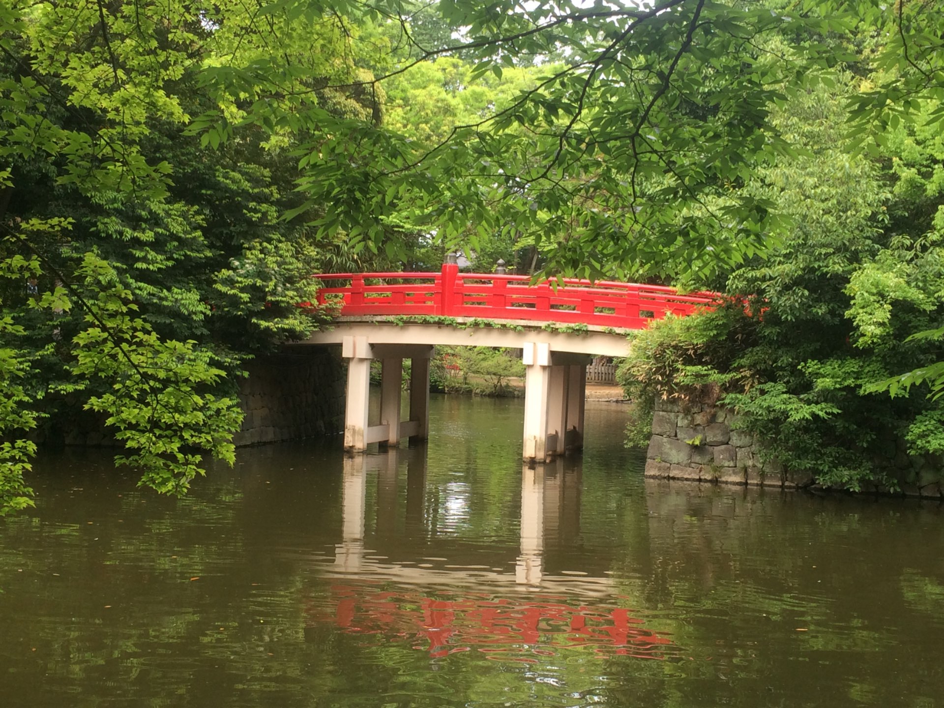 キタキツネさんのプロフィール画像