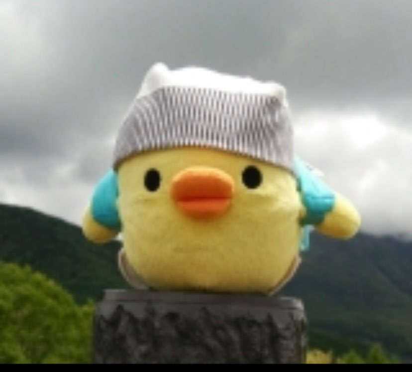 こたらさんのプロフィール画像