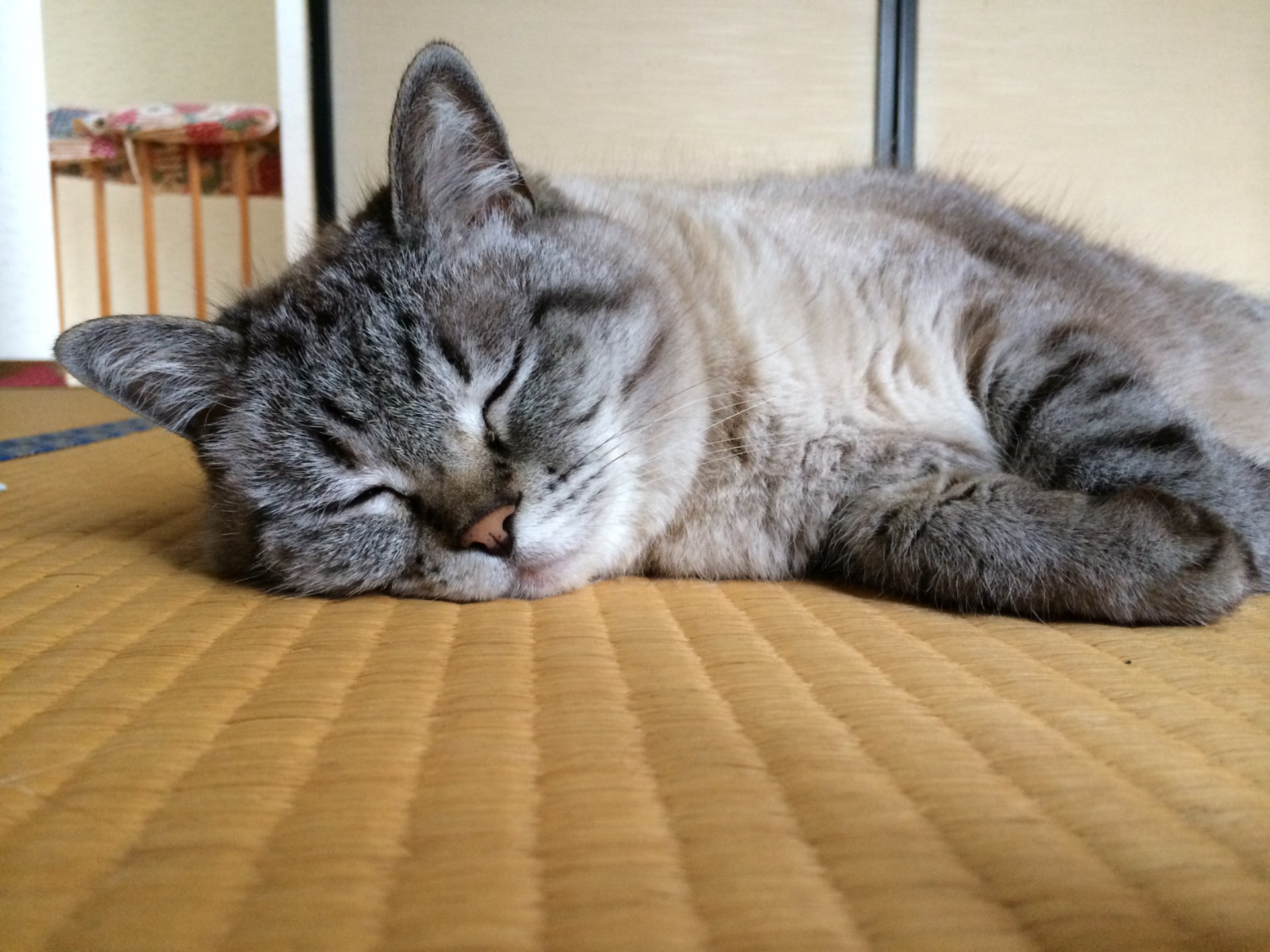 ミスターアミさんのプロフィール画像