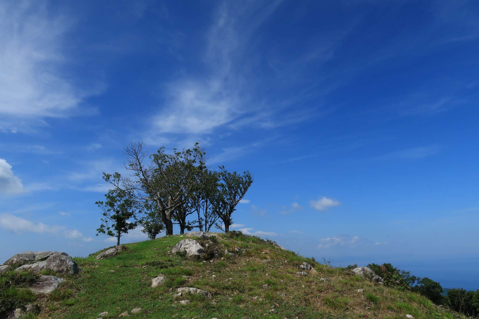 ルビーマンさんのプロフィール画像