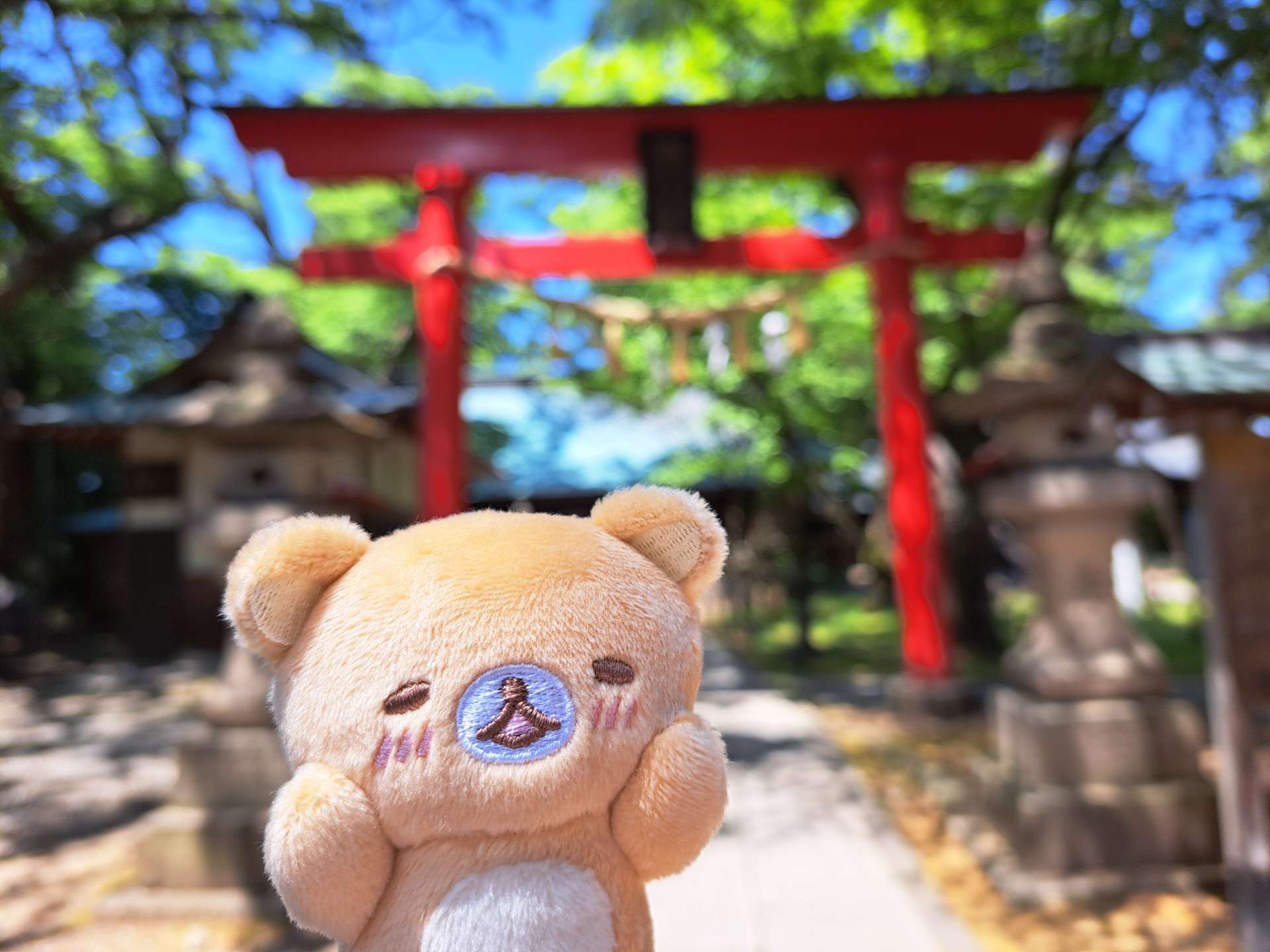 ゆみっくまさんのプロフィール画像