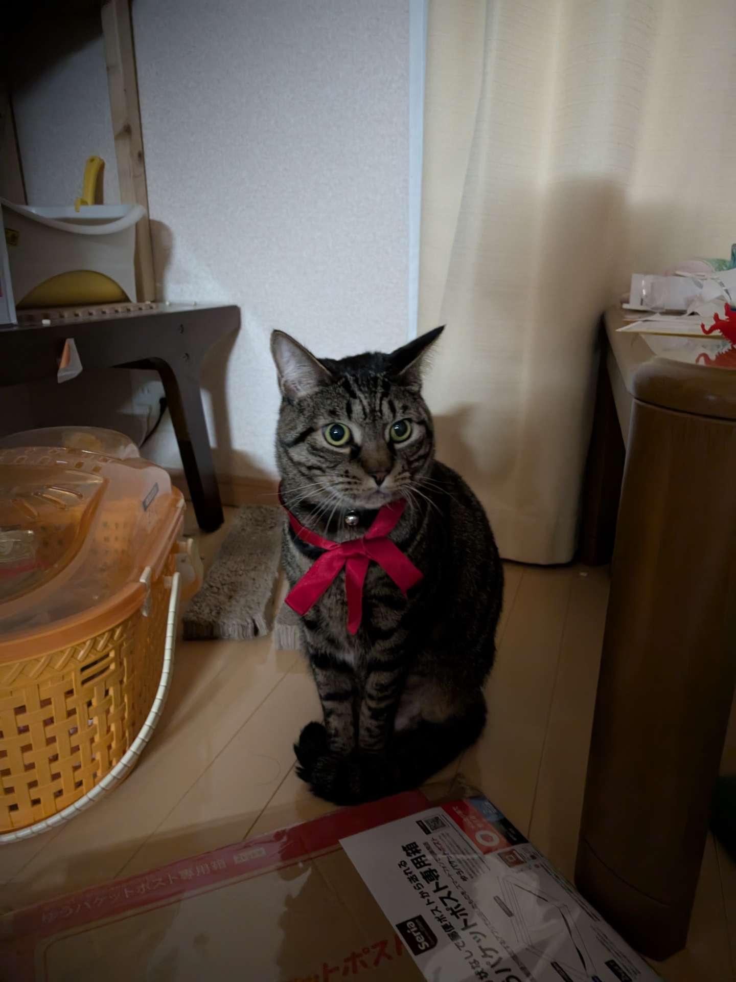 やすおさんのプロフィール画像