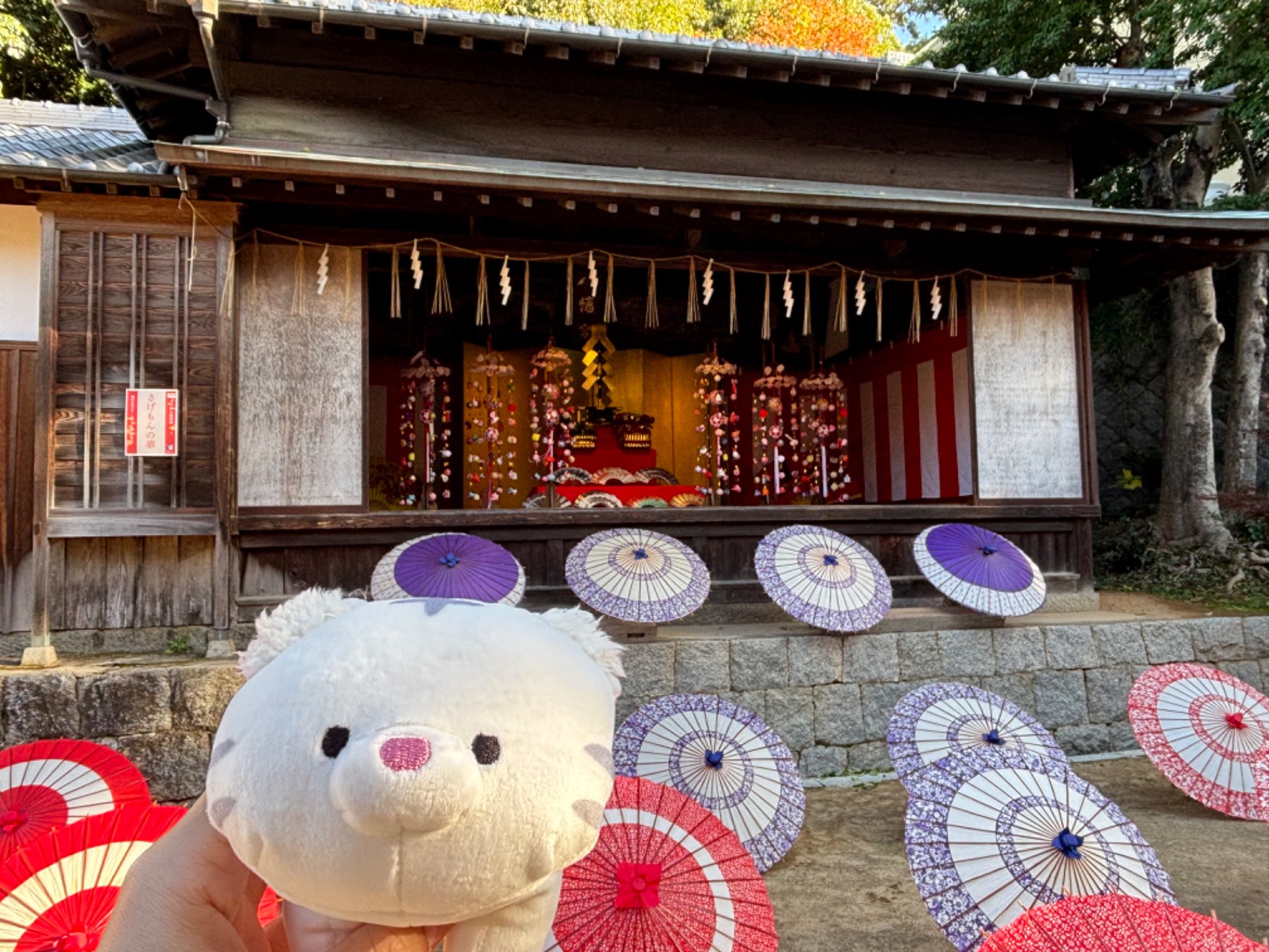 ココさんのプロフィール画像