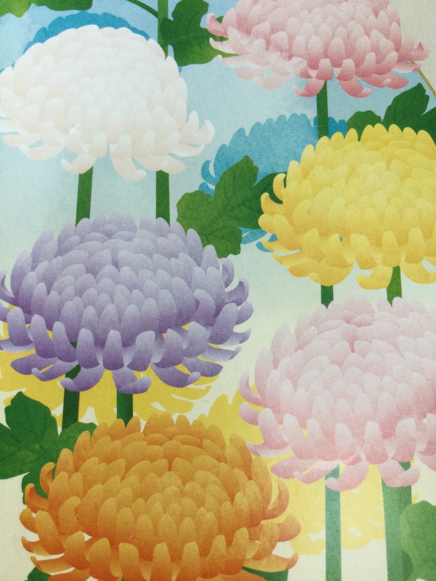 Madelain#6さんのプロフィール画像