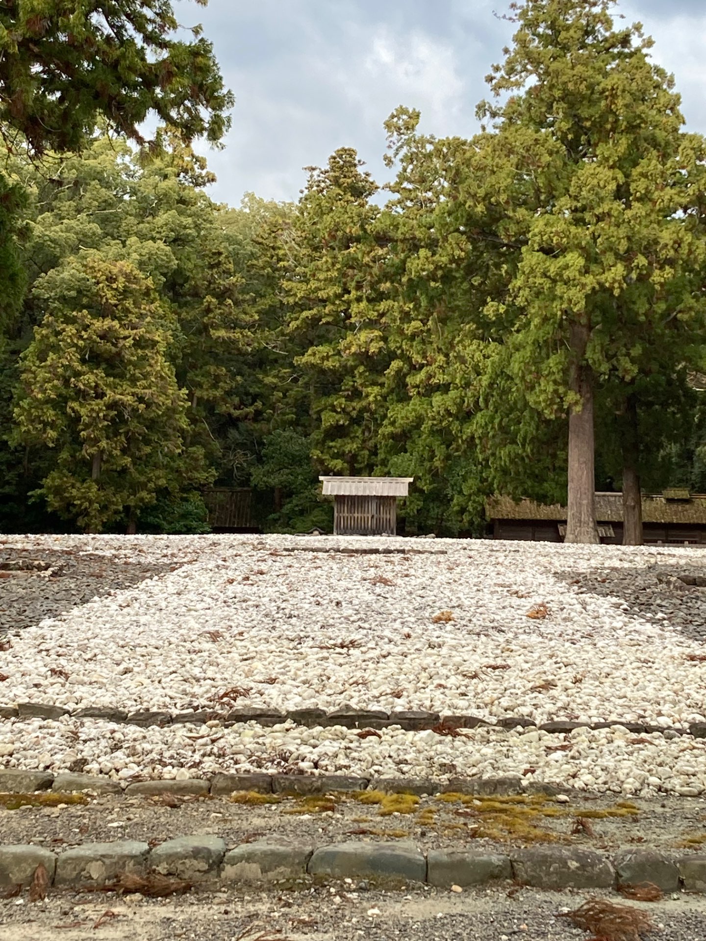 たかしさんのプロフィール画像