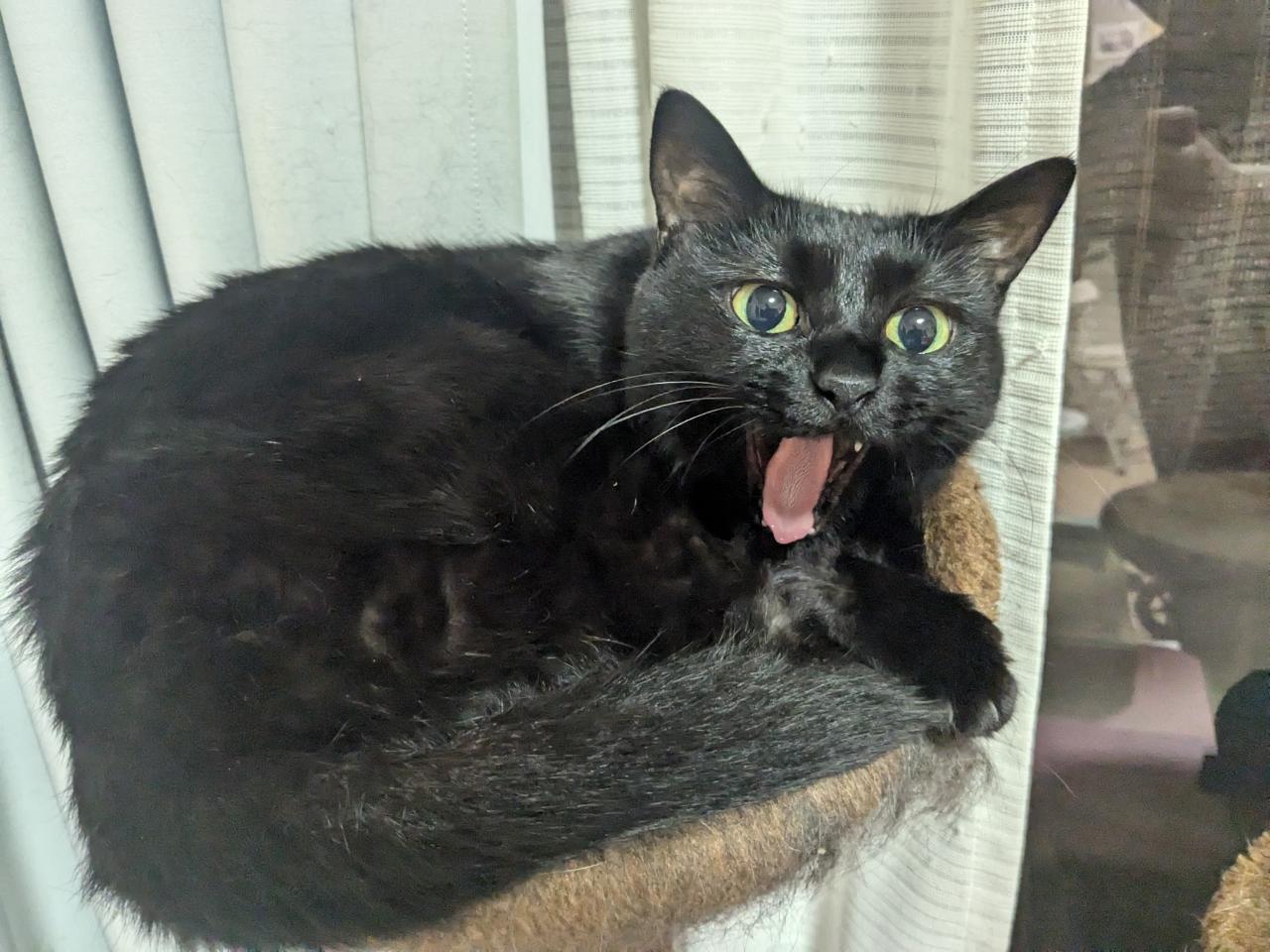 いがらしちえさんのプロフィール画像