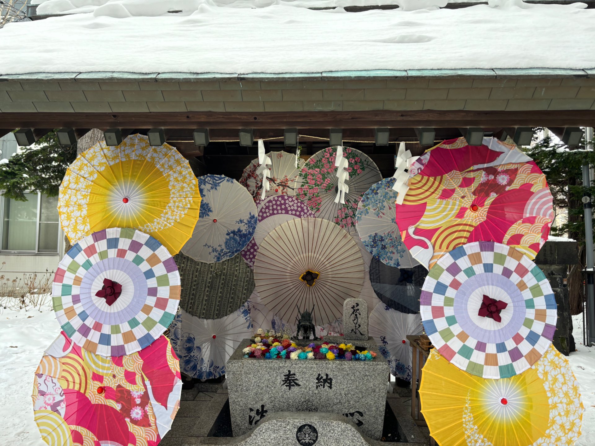 桐花さんのプロフィール画像