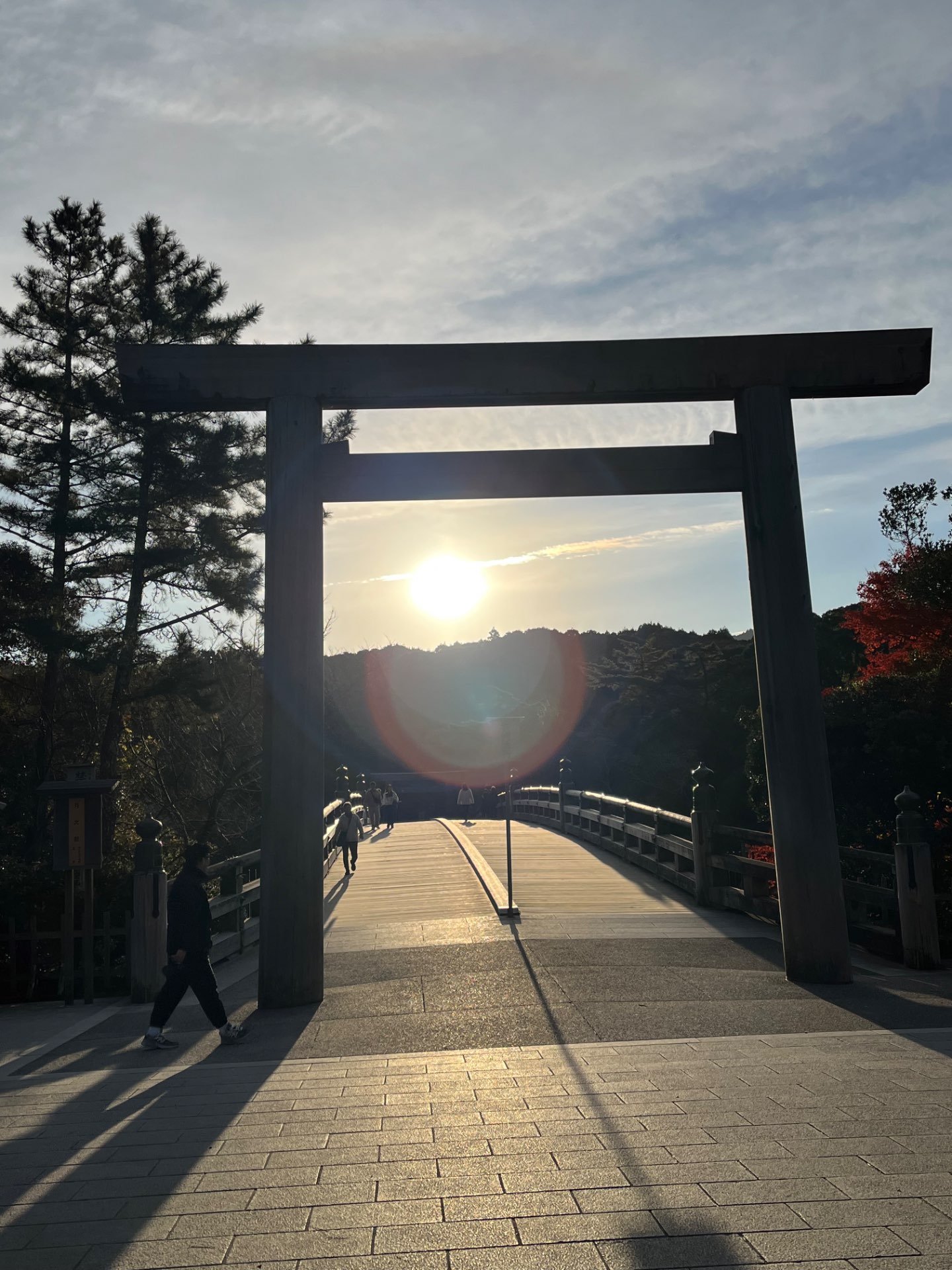 よっちゃん59さんのプロフィール画像