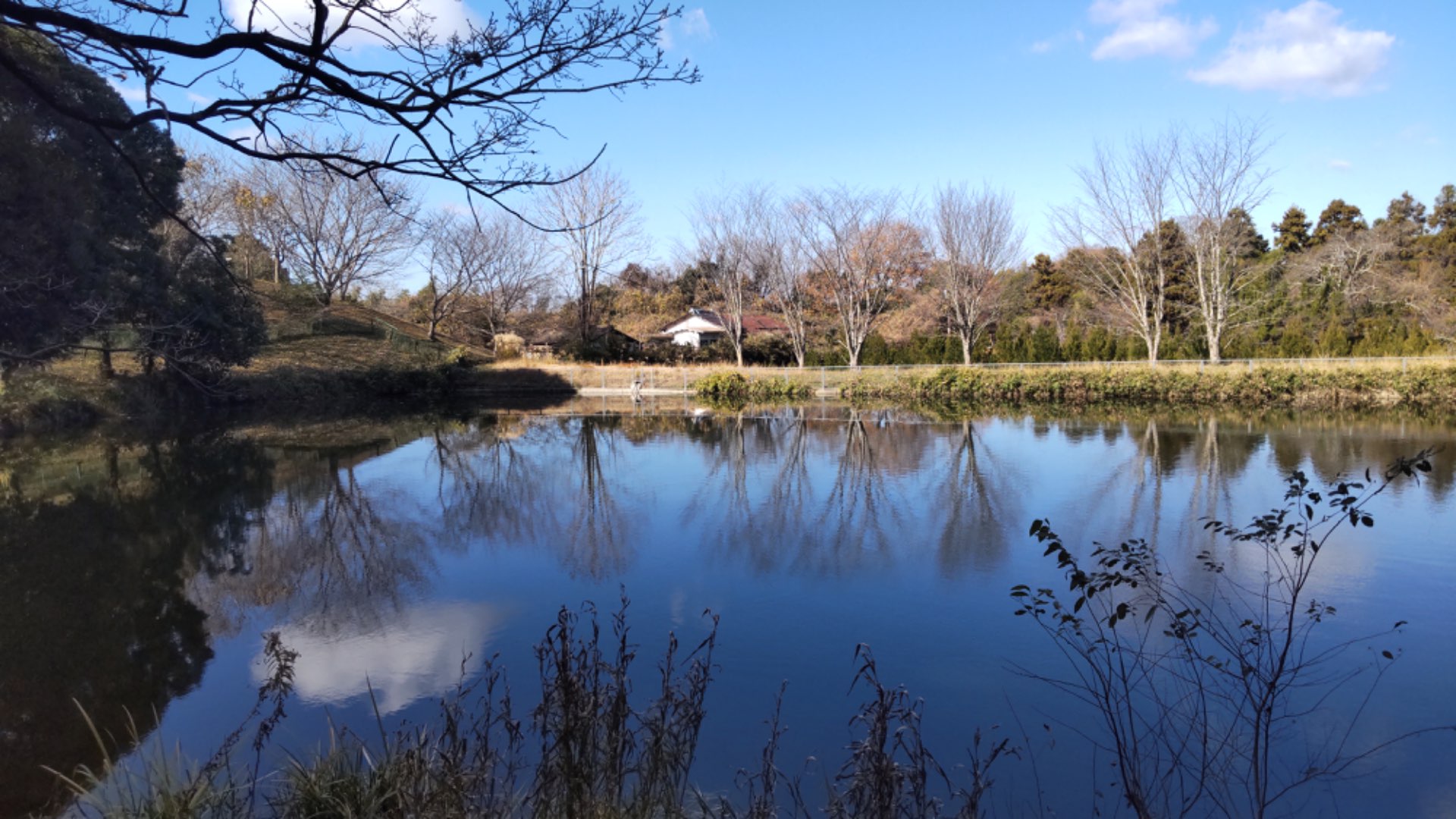 うかさんのプロフィール画像