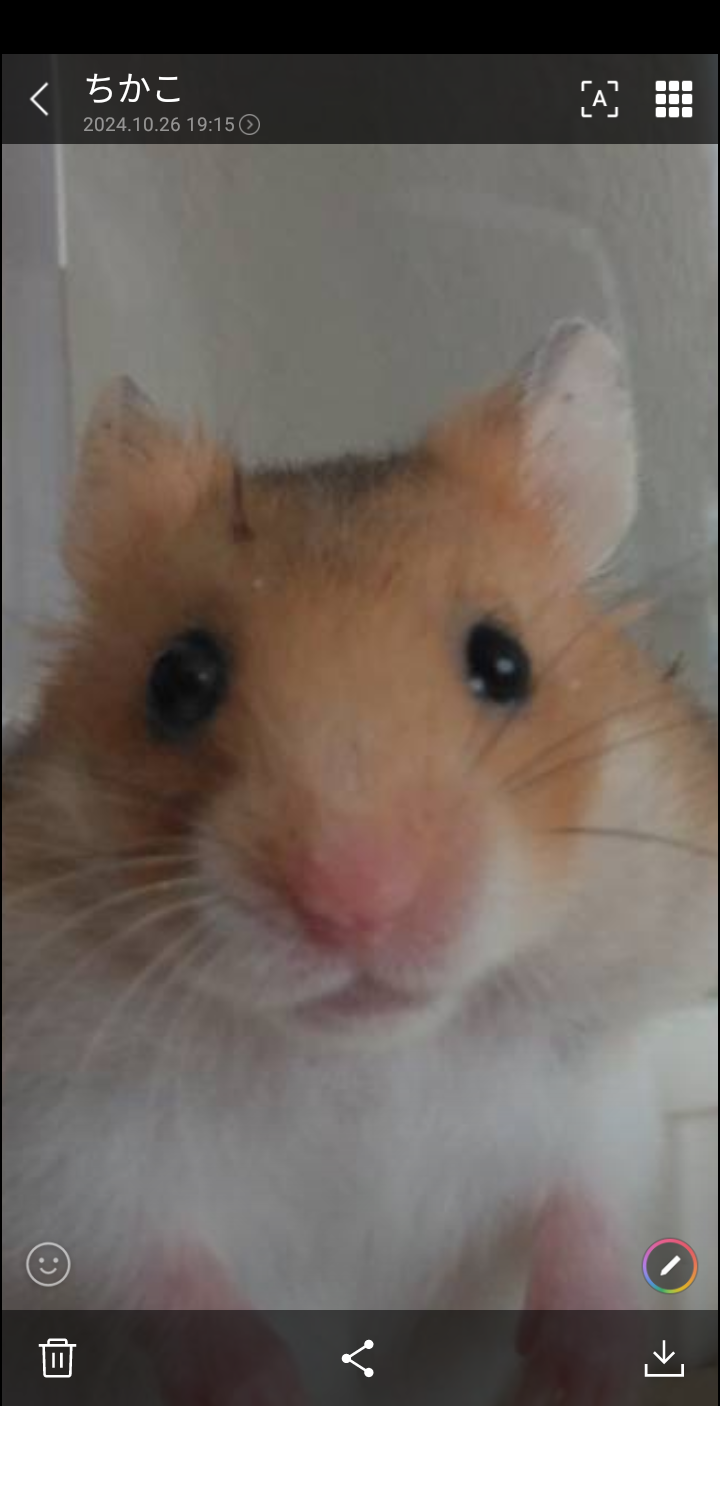 てるちかさんのプロフィール画像