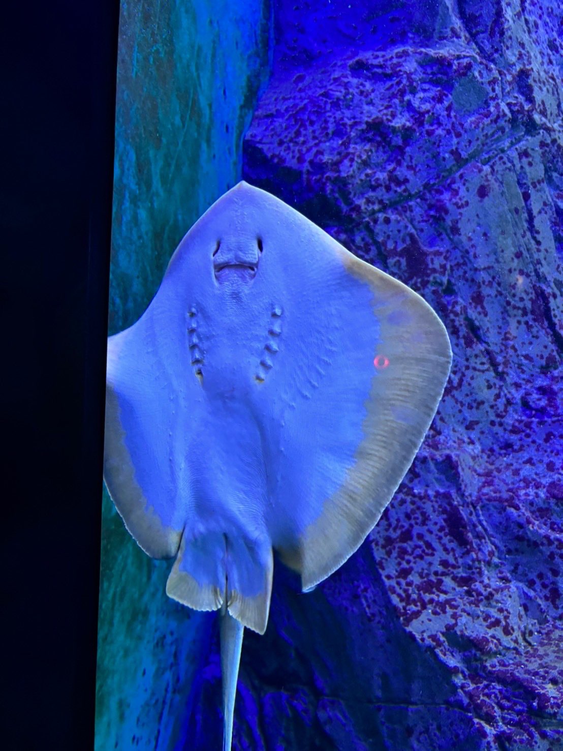 めいちゃさんのプロフィール画像