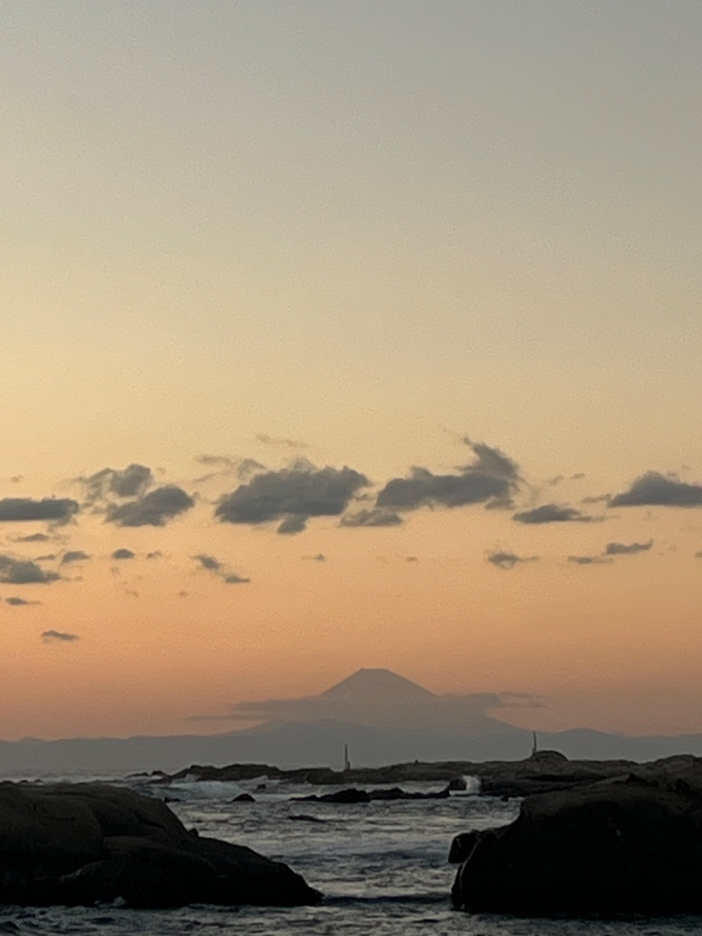 服部大ノ助さんのプロフィール画像