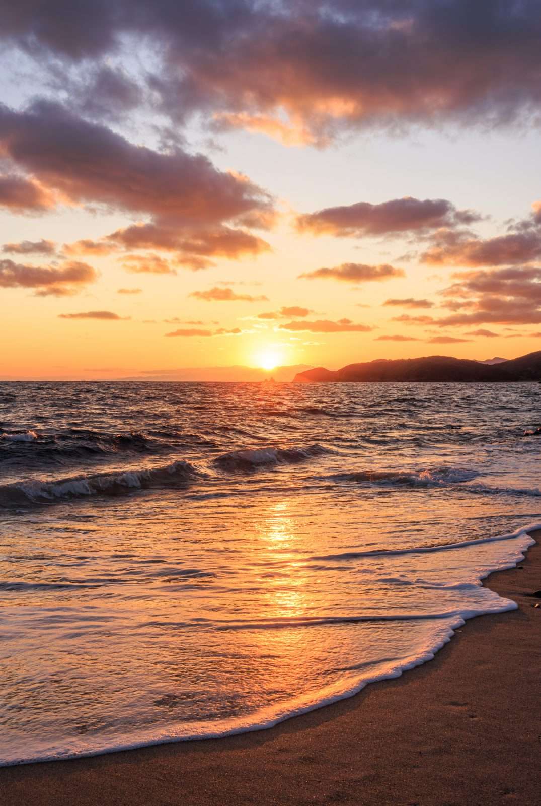 ミャーさんのプロフィール画像