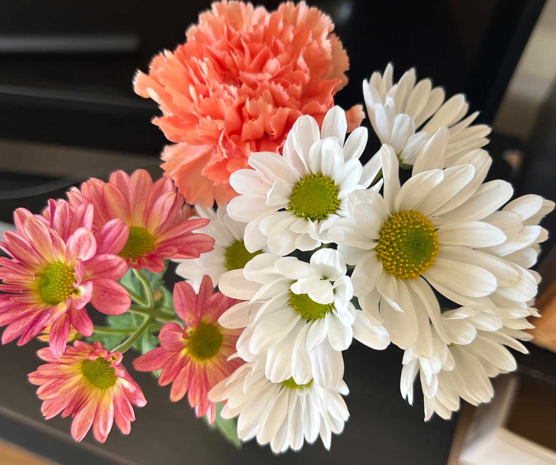 マヨさんのプロフィール画像