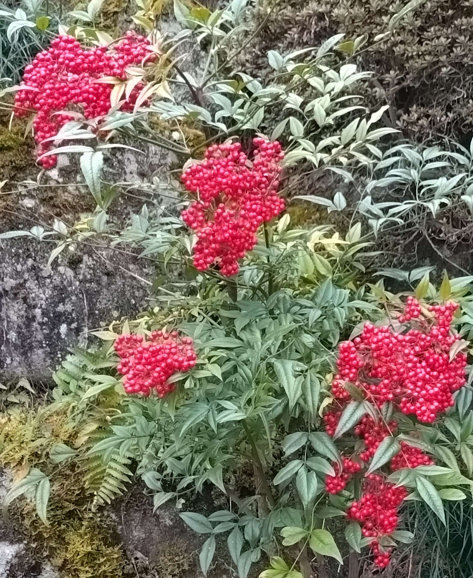 たまさんのプロフィール画像