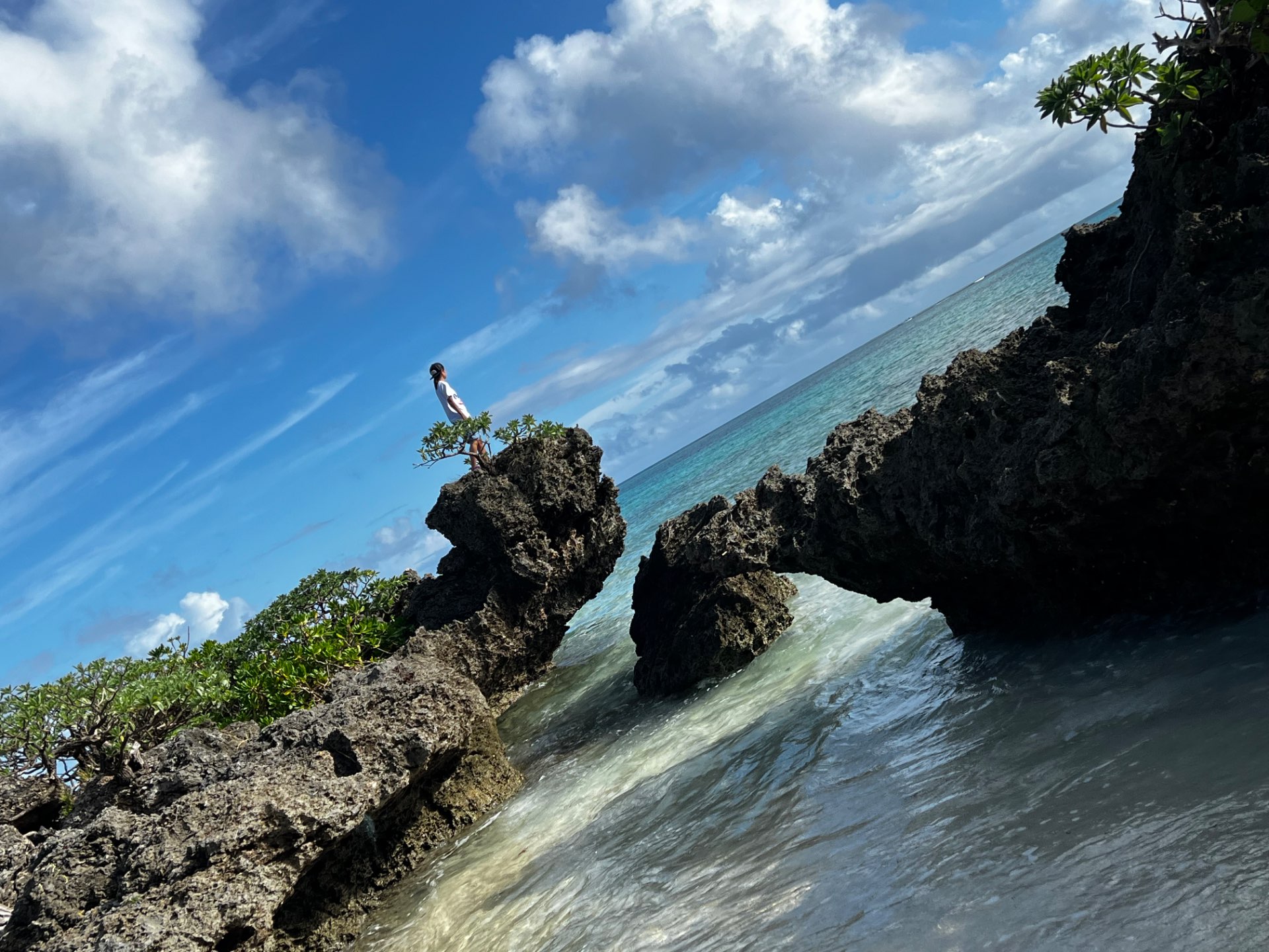 miosukeさんのプロフィール画像