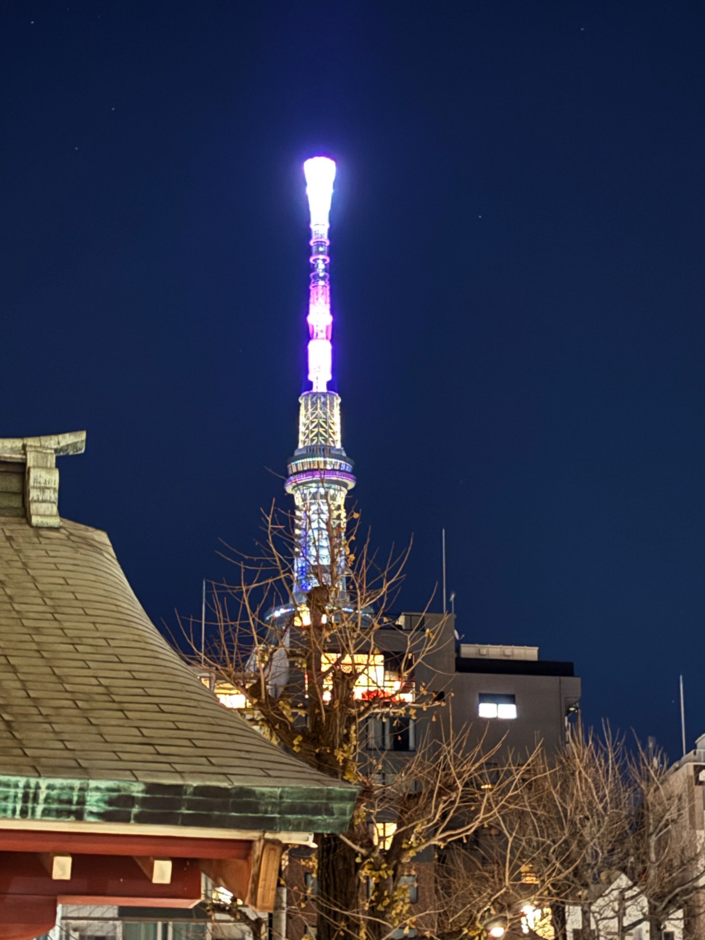 ももさんのプロフィール画像