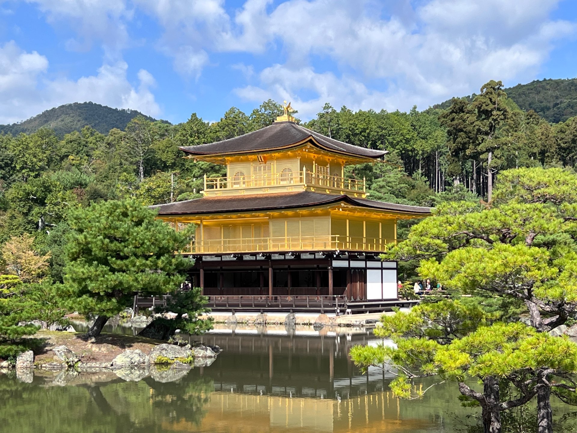 doobさんのプロフィール画像