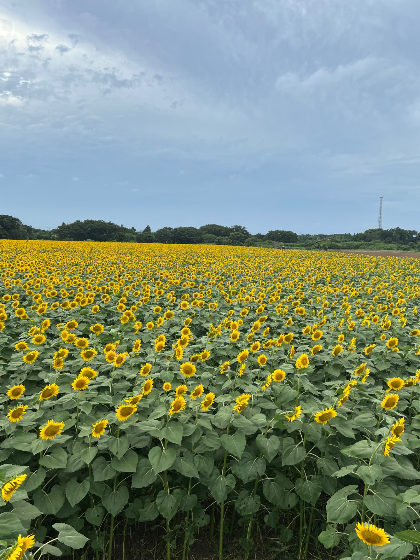 ヒロさんのプロフィール画像