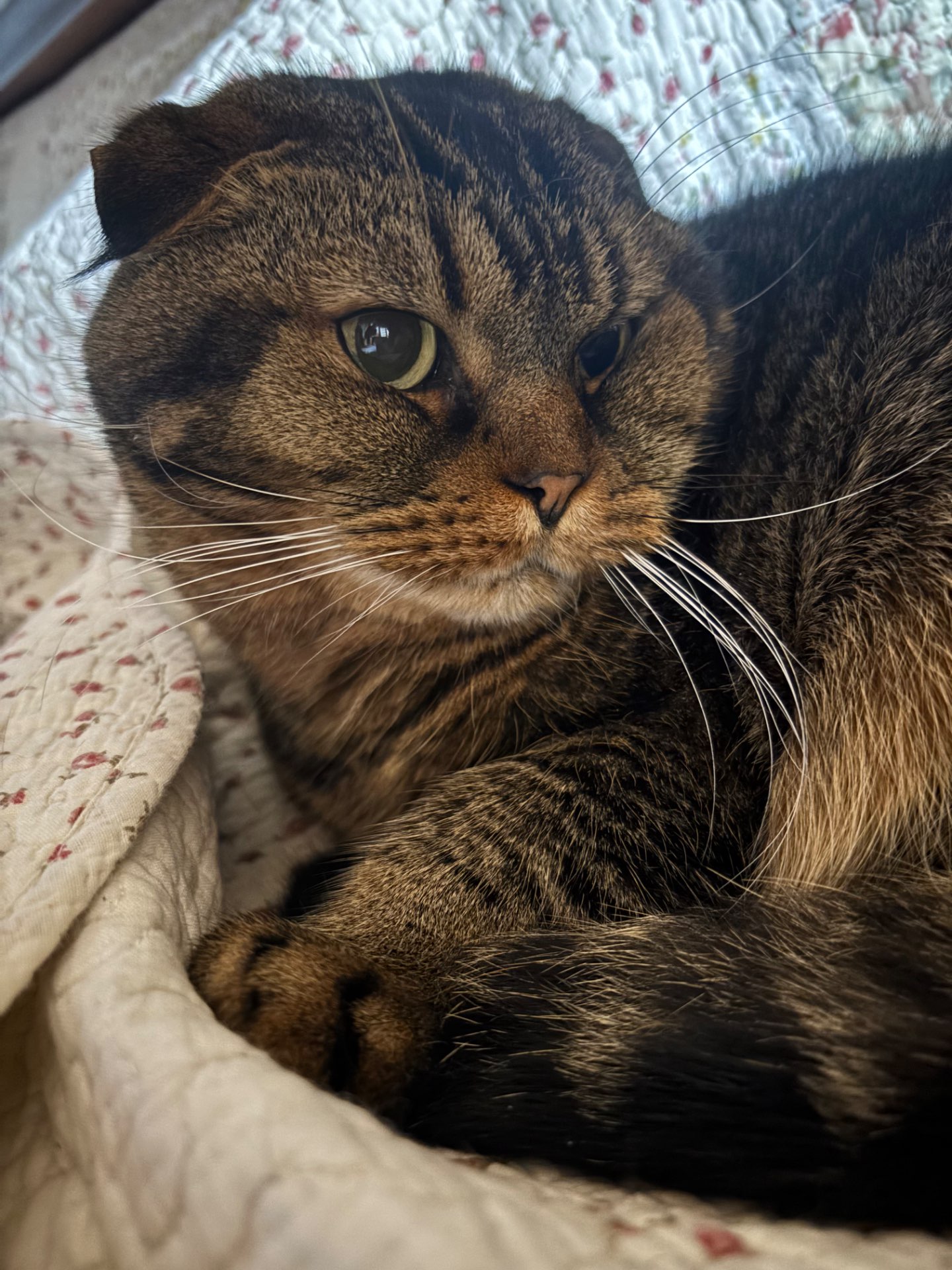 未都(マト)さんのプロフィール画像