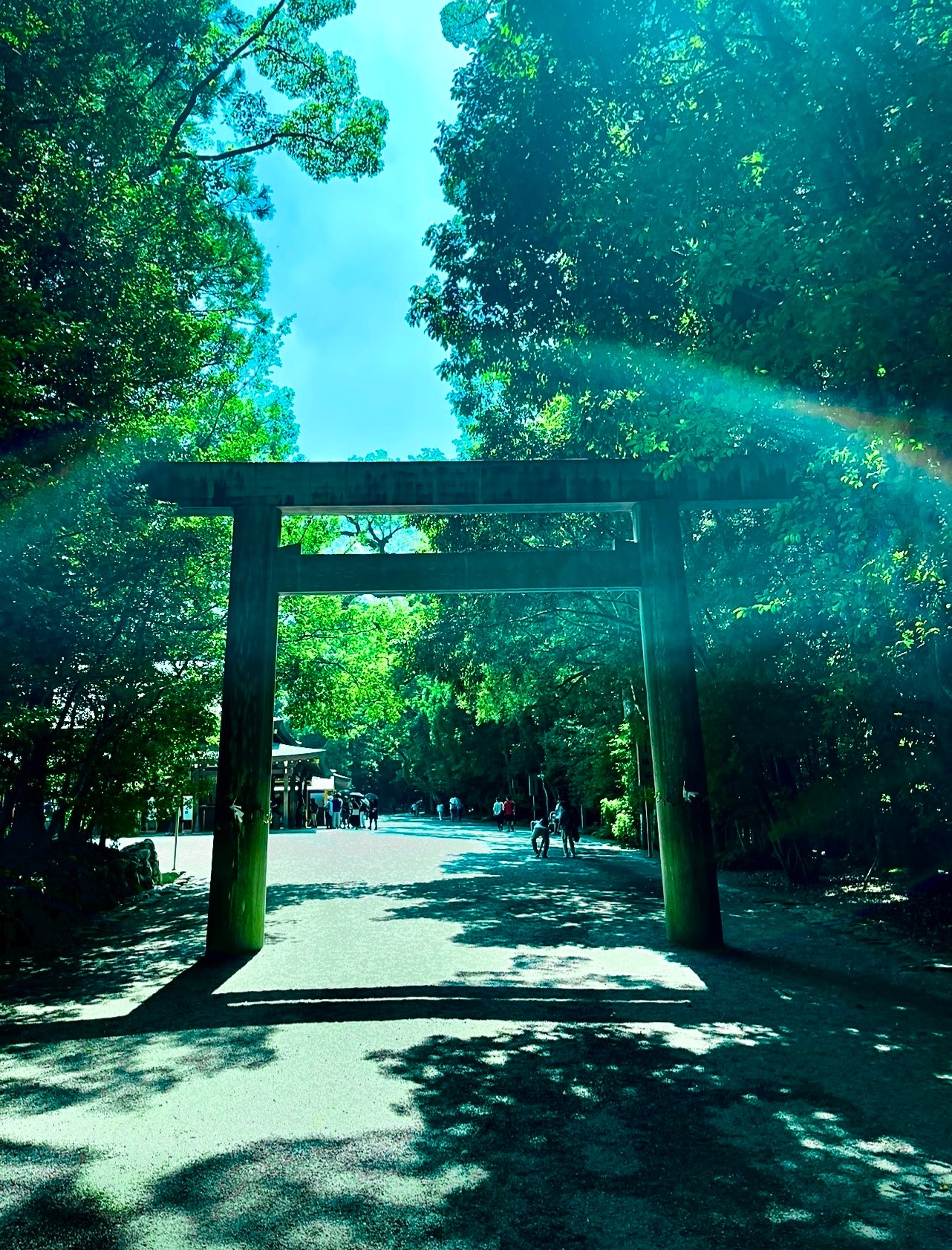 おかげ様🙏さんのプロフィール画像