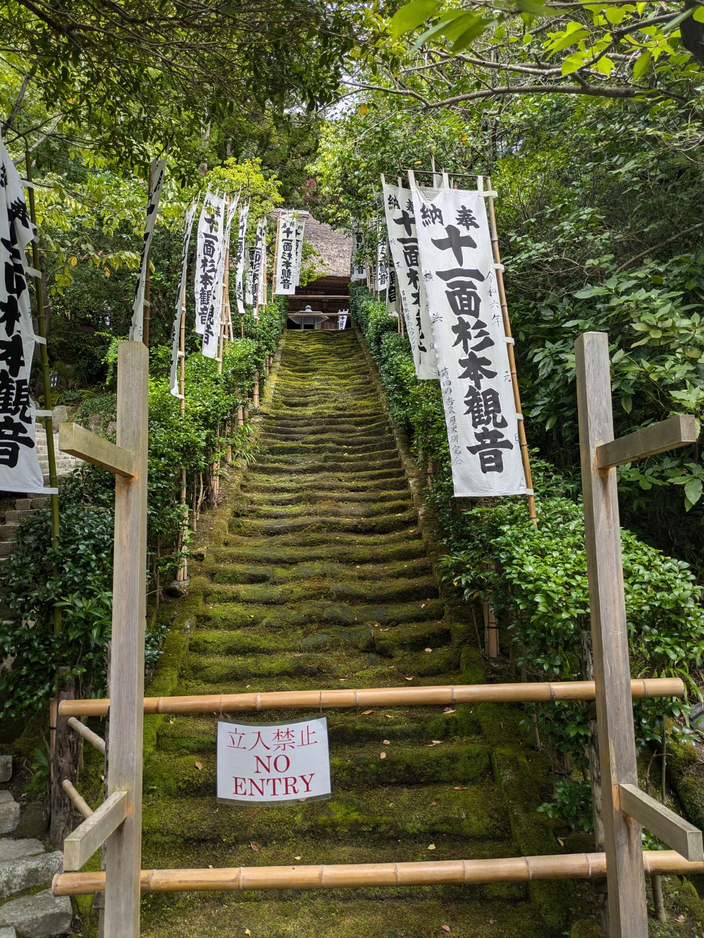 evisu9460さんのプロフィール画像