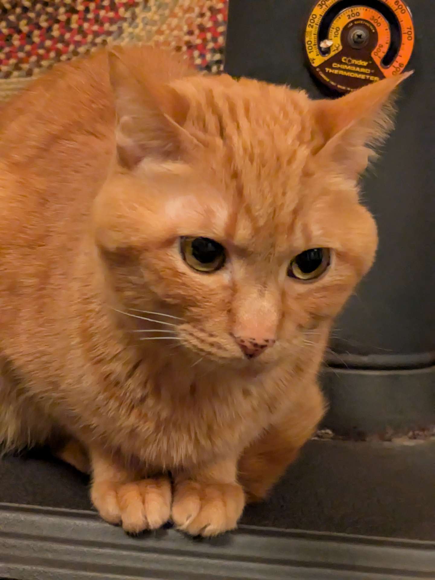 銀木犀さんのプロフィール画像