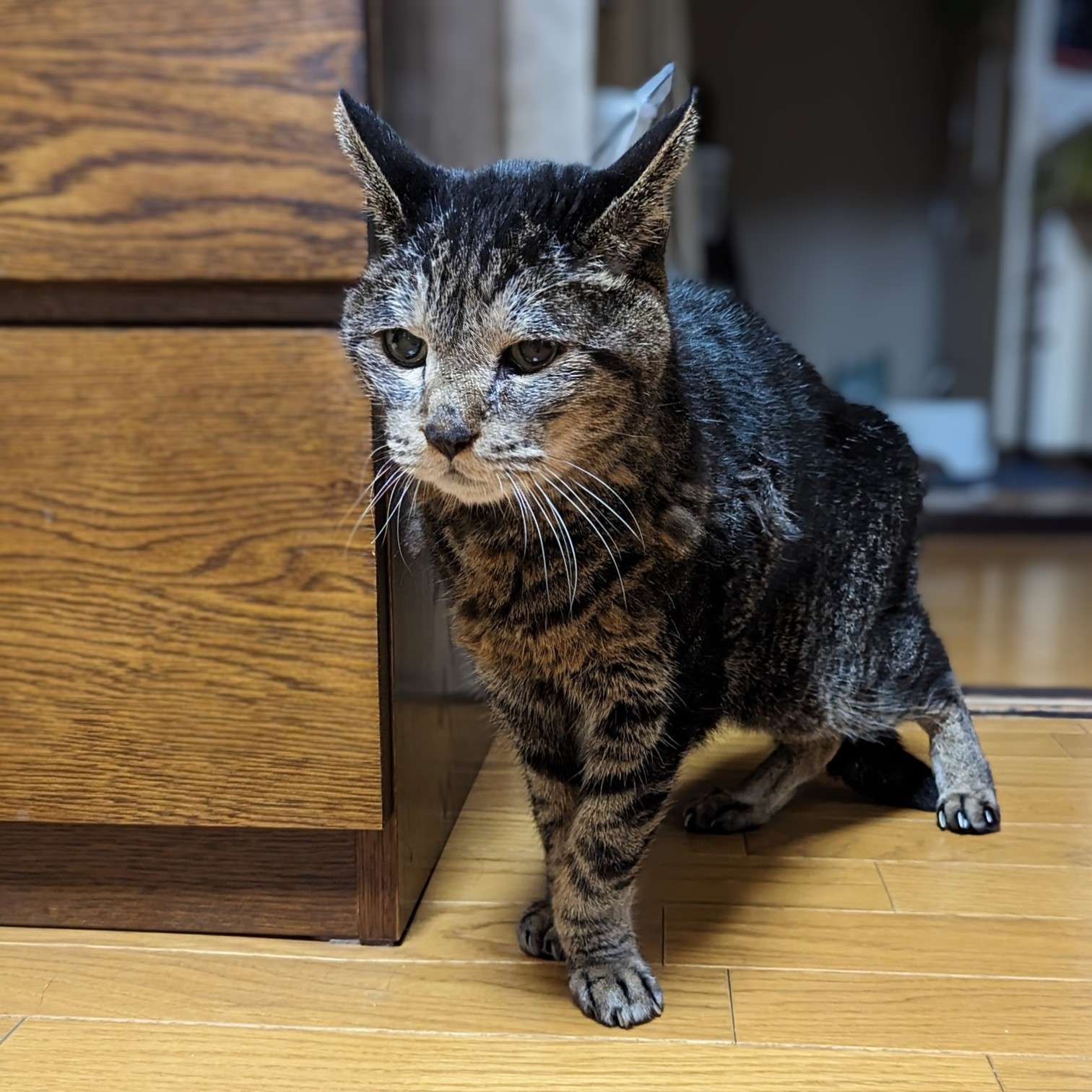 菜津子さんのプロフィール画像