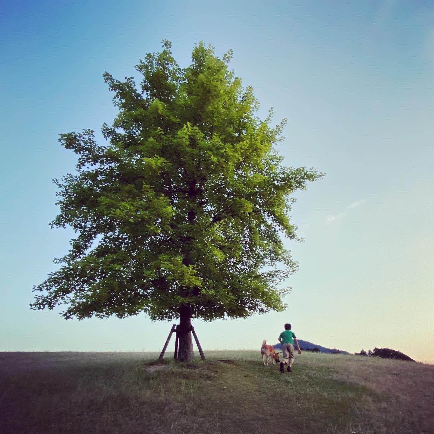 幸福さんのプロフィール画像
