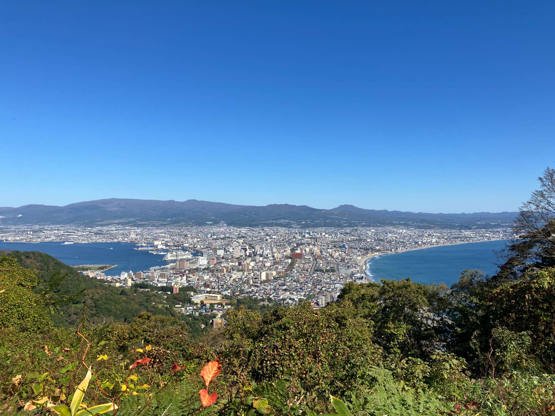 優慶さんのプロフィール画像