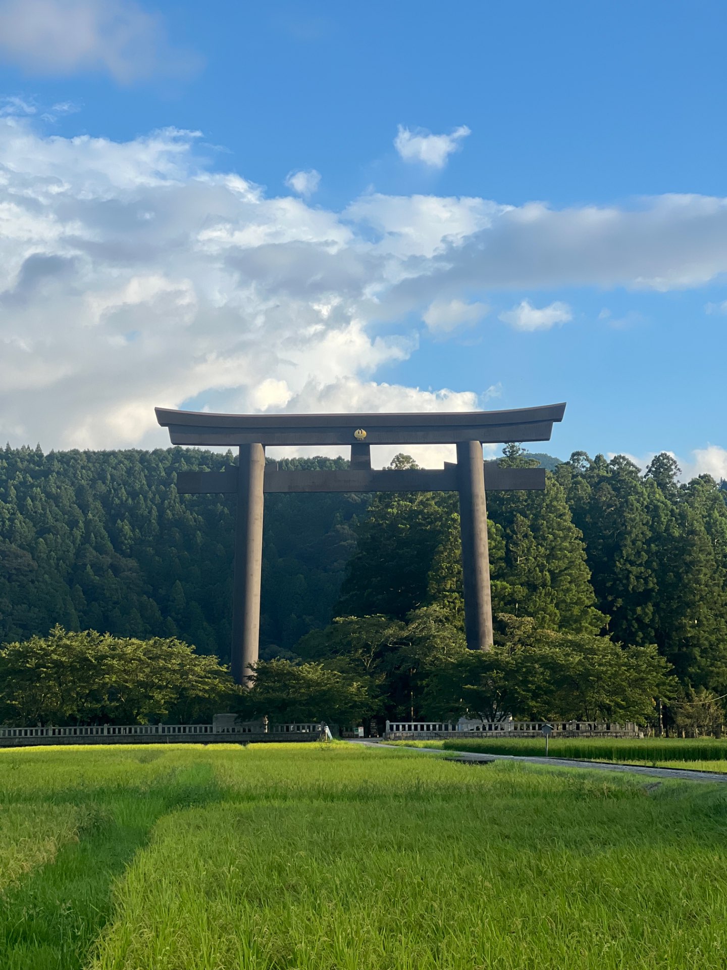 すのうずさんのプロフィール画像