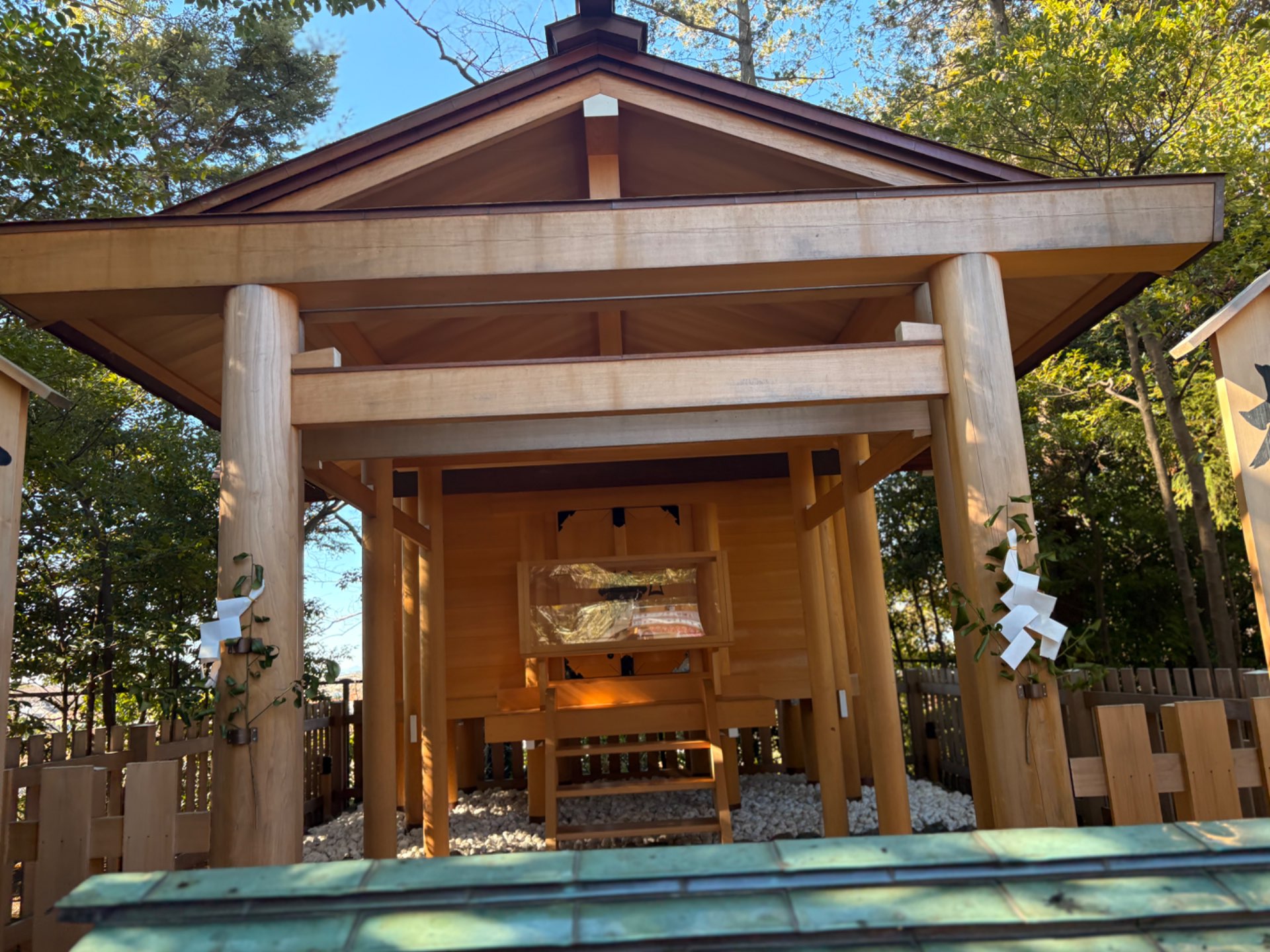 たまちゃんさんのプロフィール画像