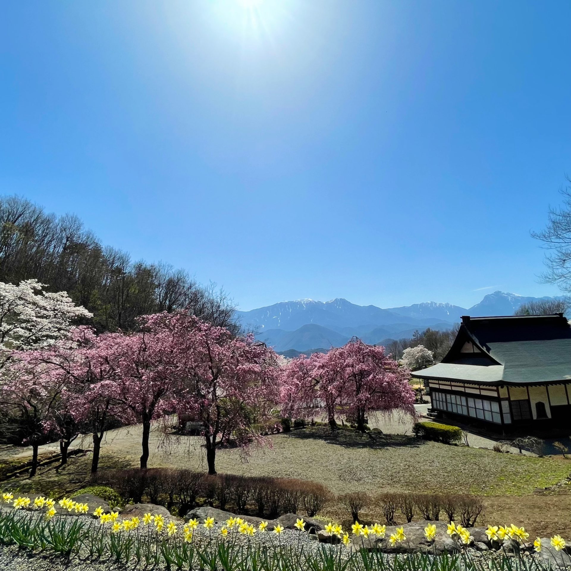 浄居寺｜山紫水明なお寺📍山梨県北杜市さんのプロフィール画像