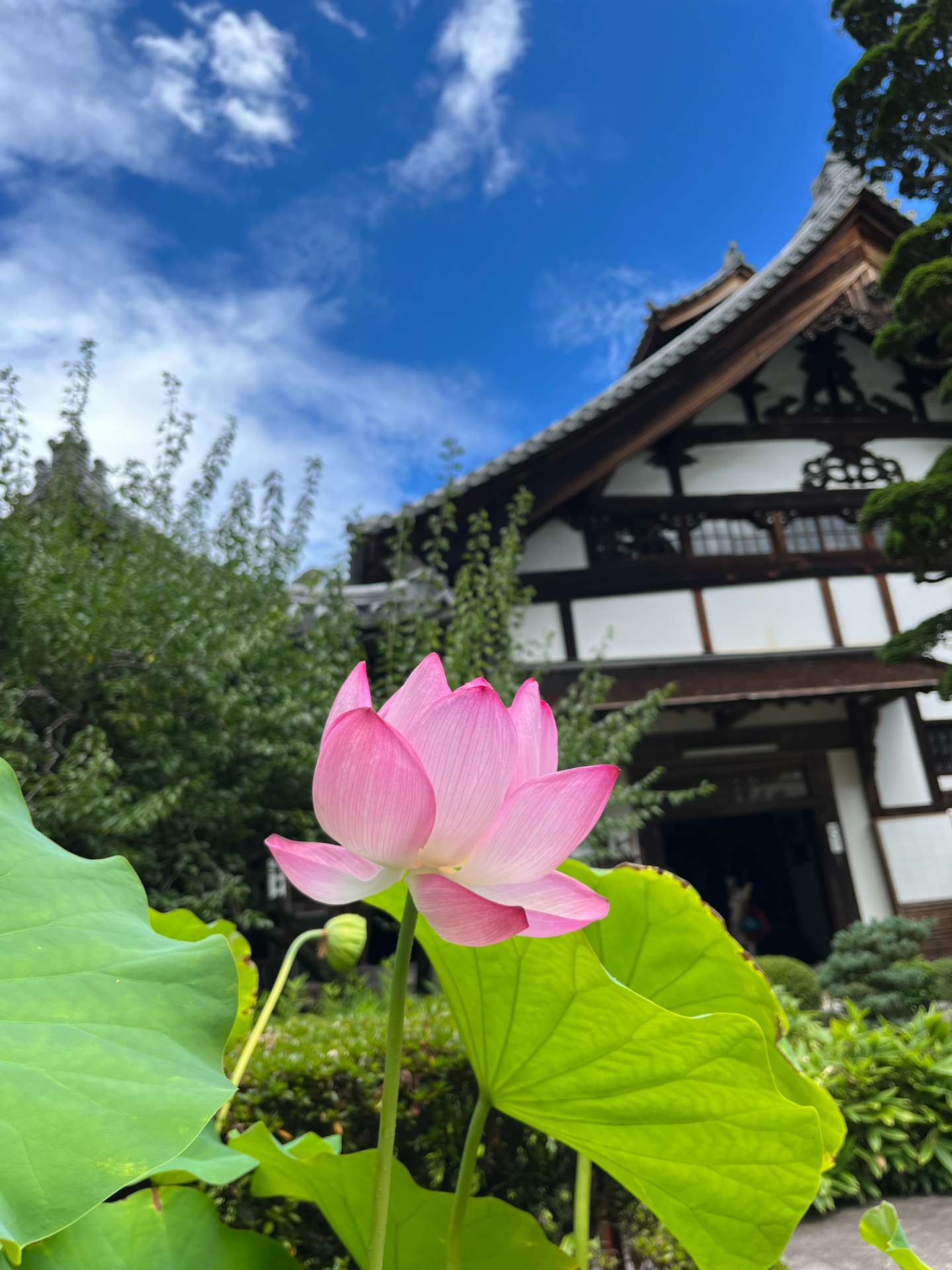 豆葉さんのプロフィール画像