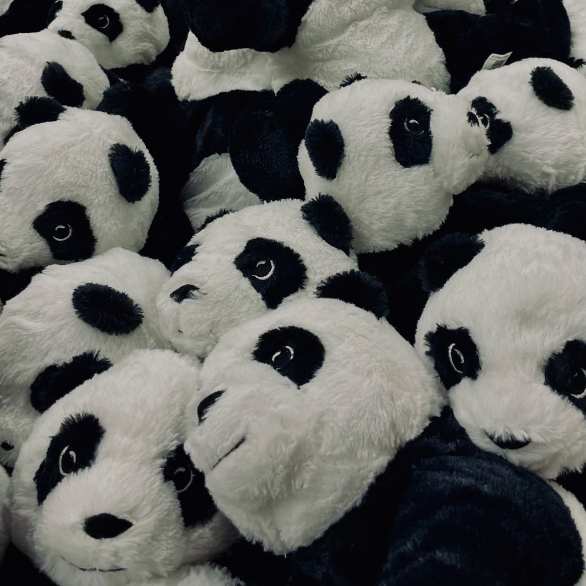 なぎさんのプロフィール画像