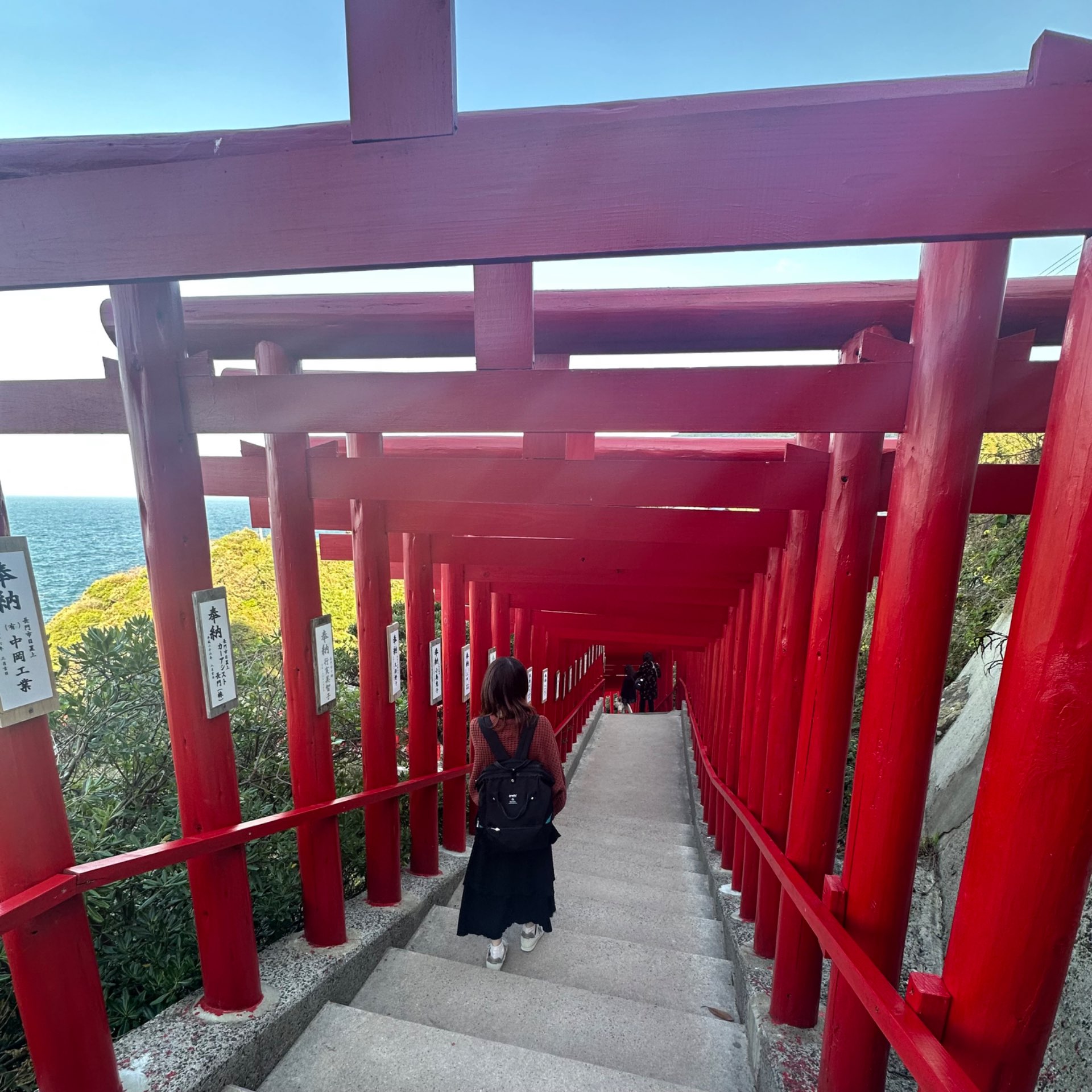 ayane25さんのプロフィール画像